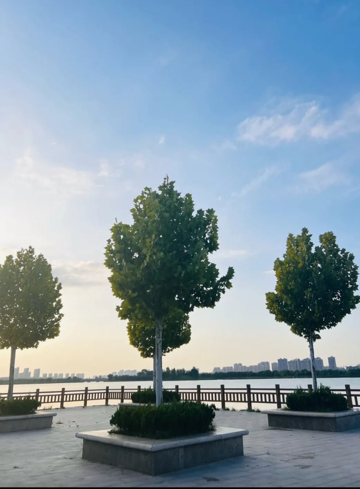 八里湾风景区旅行图片 2