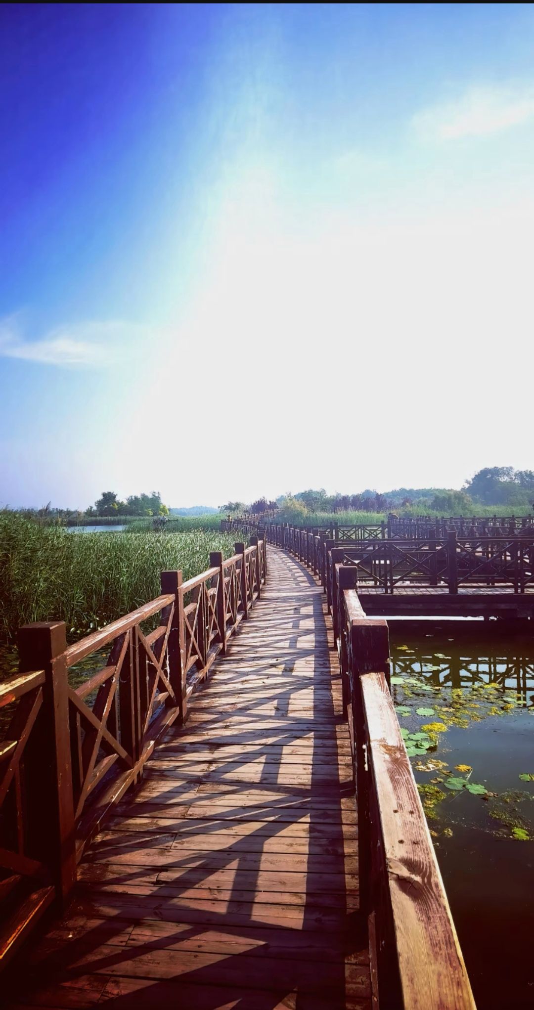 八里湾风景区旅行图片 1