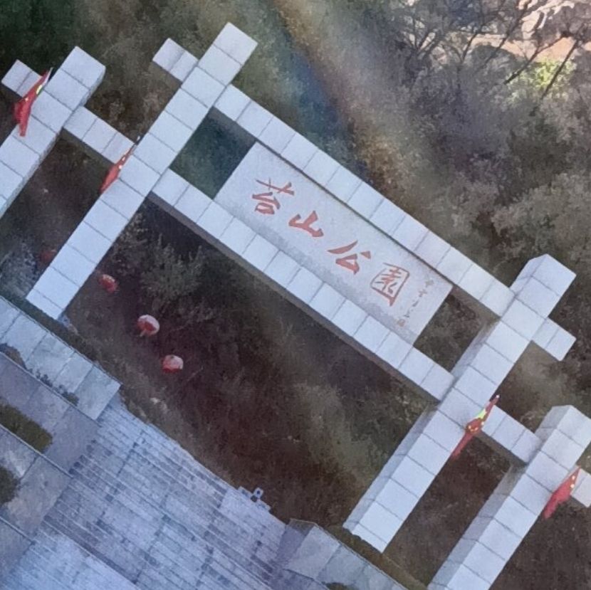 苔山公园旅行图片 2