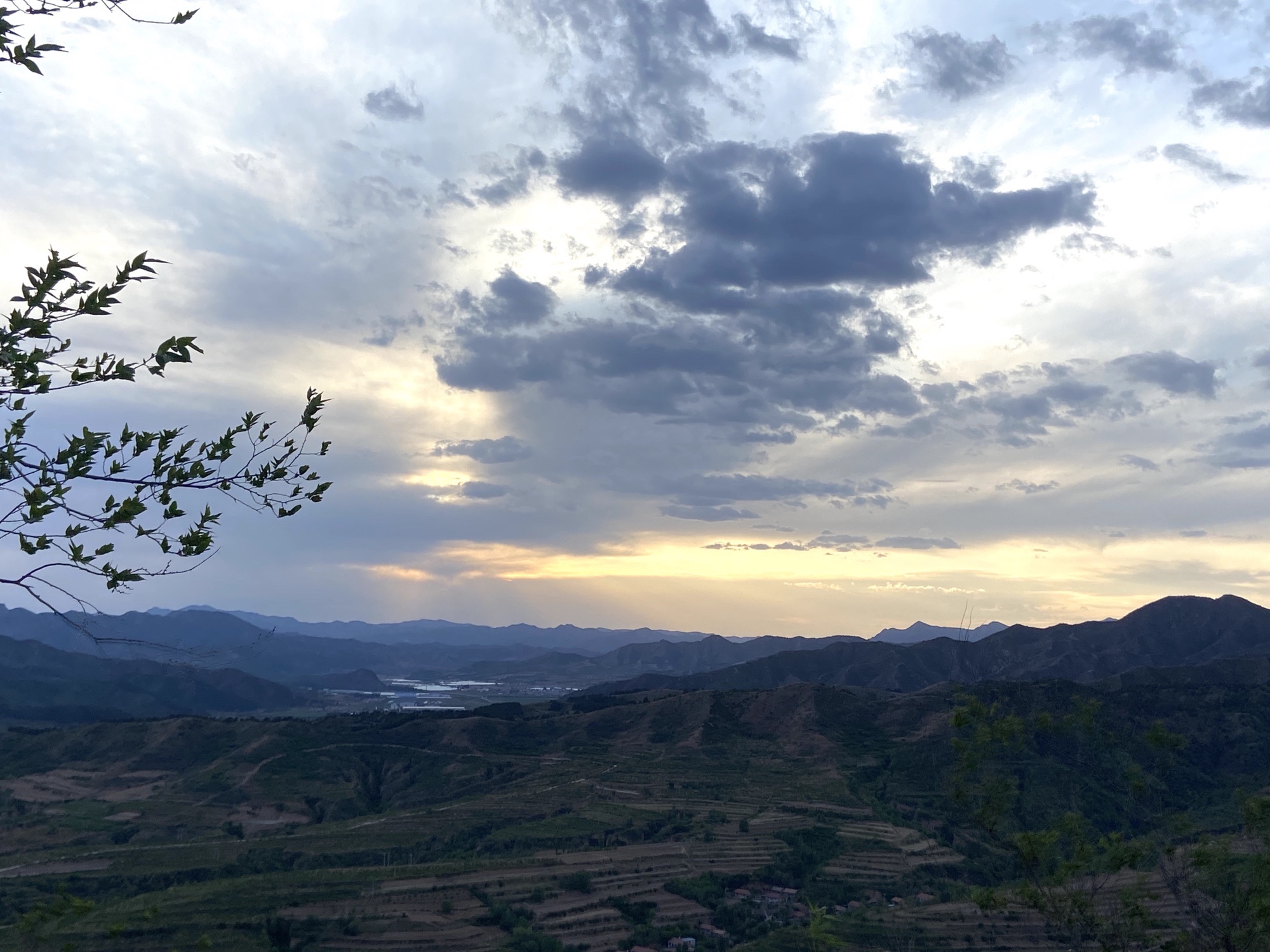 苔山公园旅行图片 1