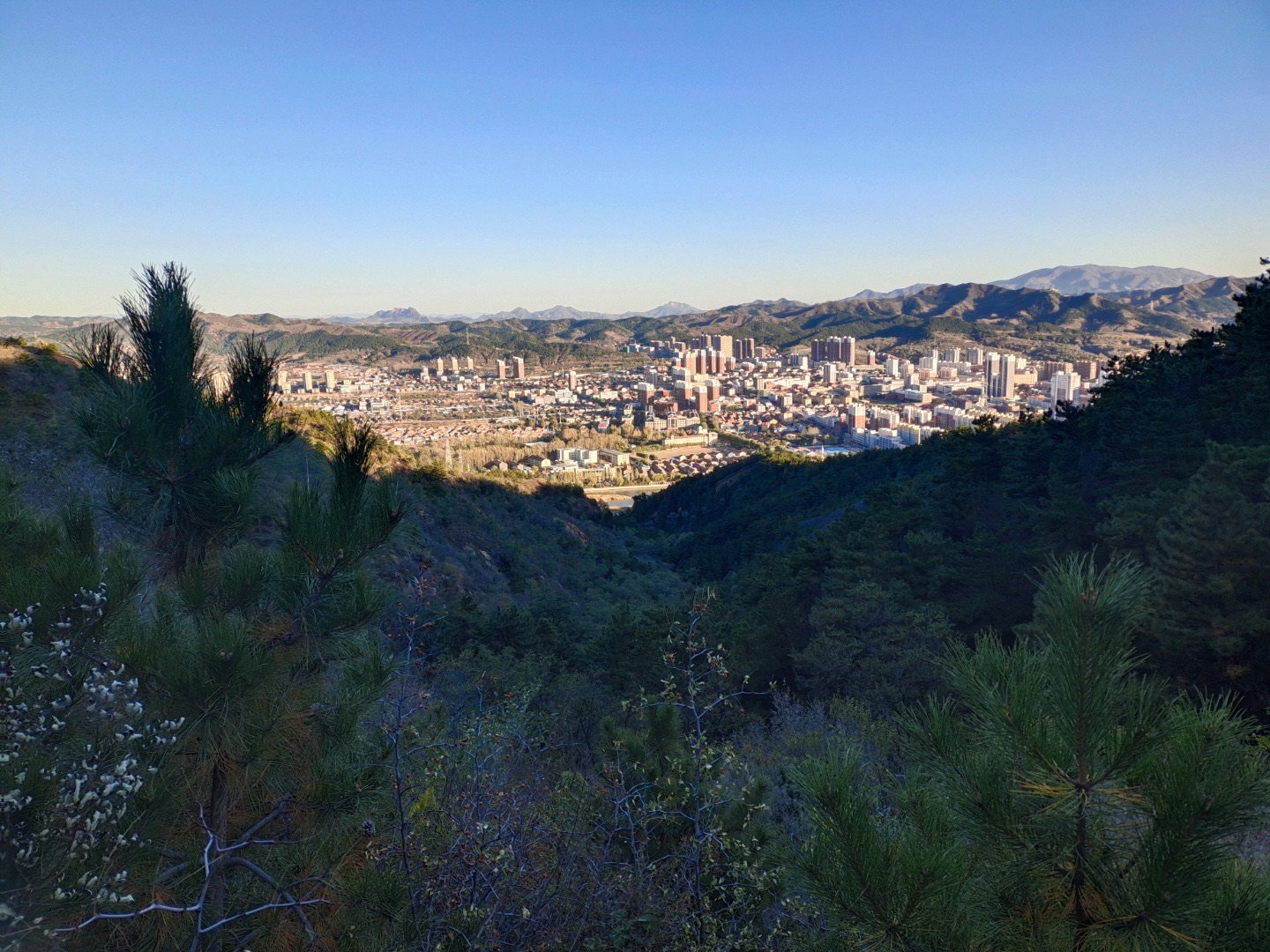 苔山公园旅行图片 1