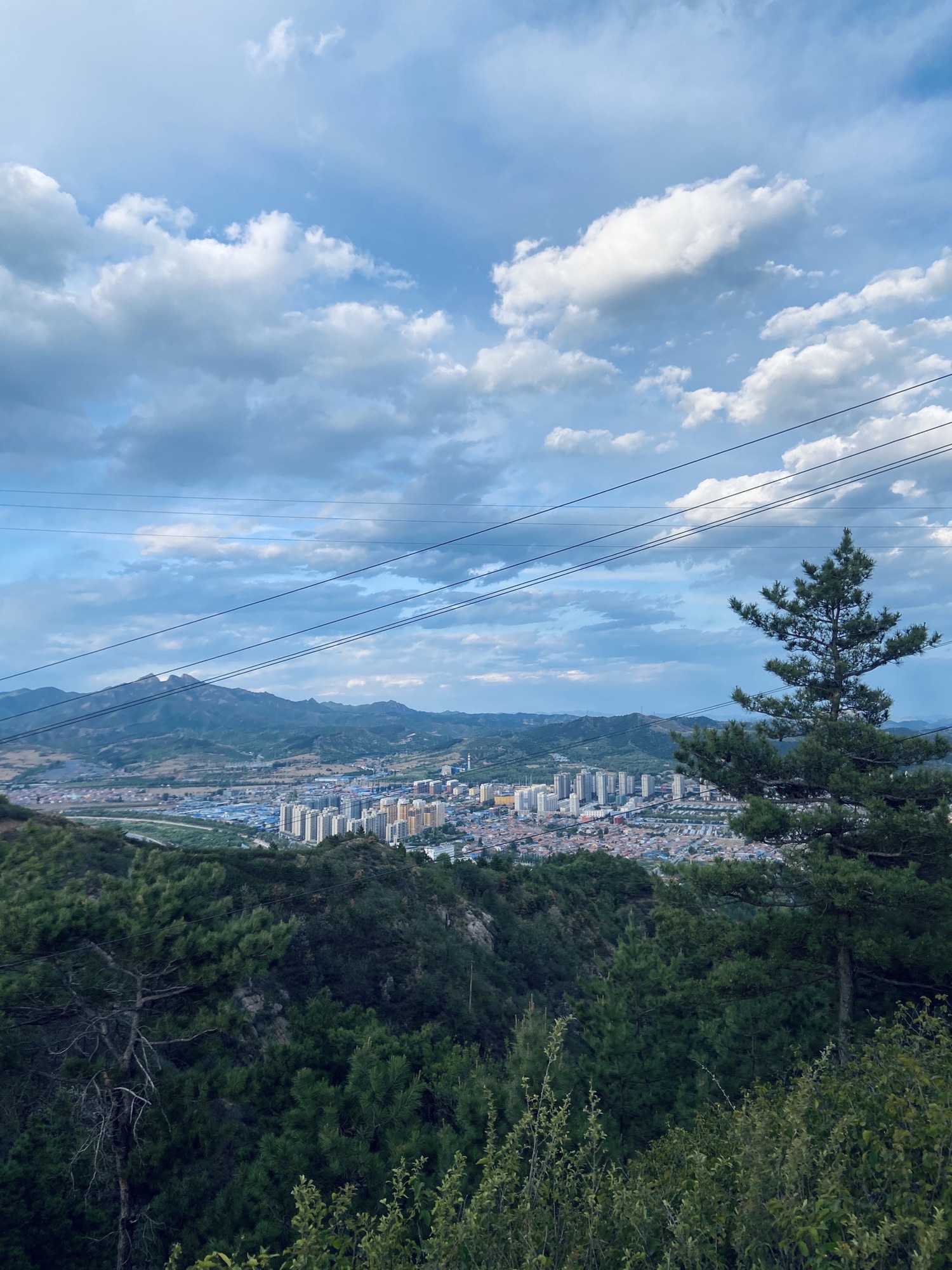 苔山公园旅行图片 3