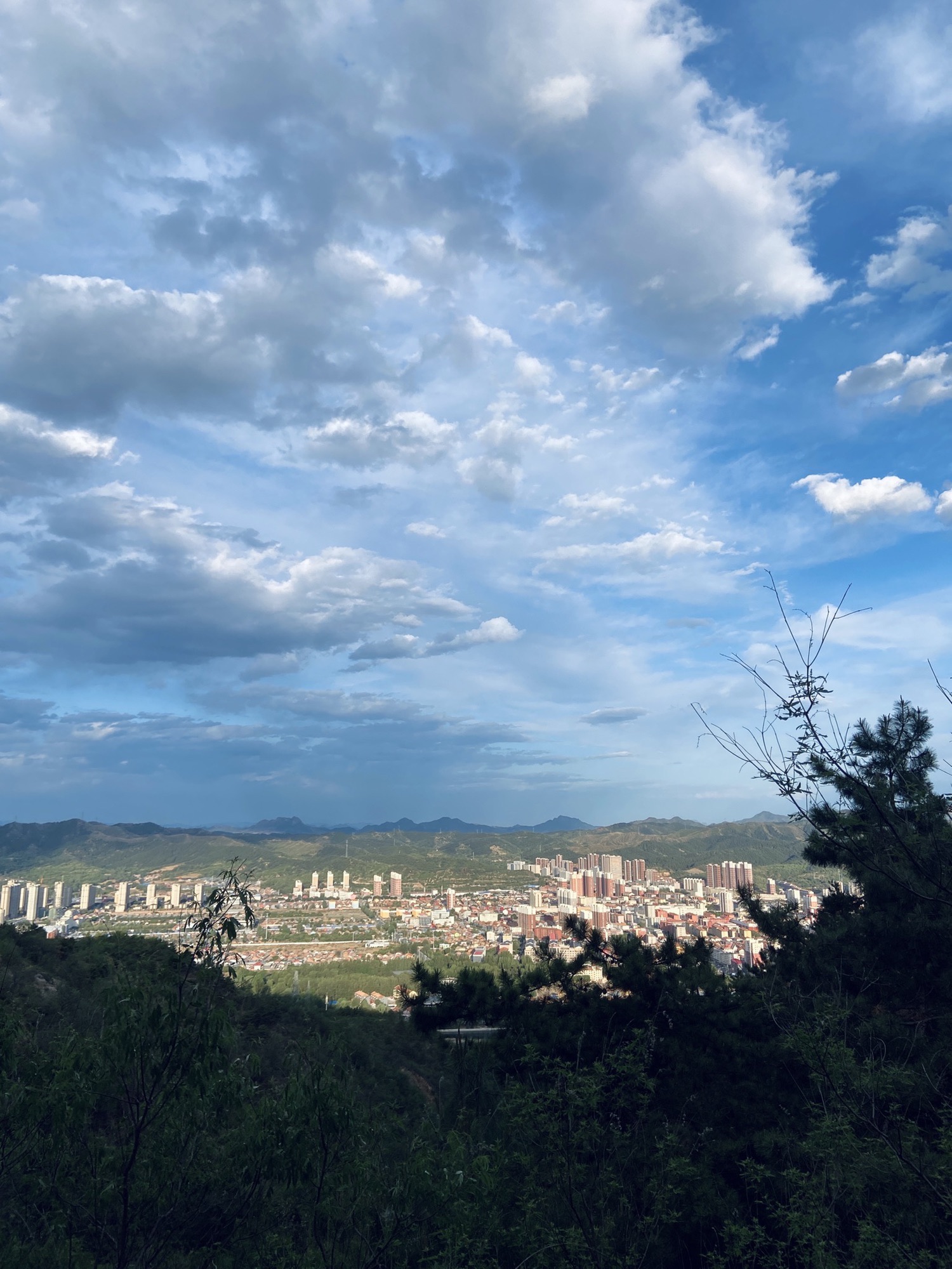 苔山公园旅行图片 2