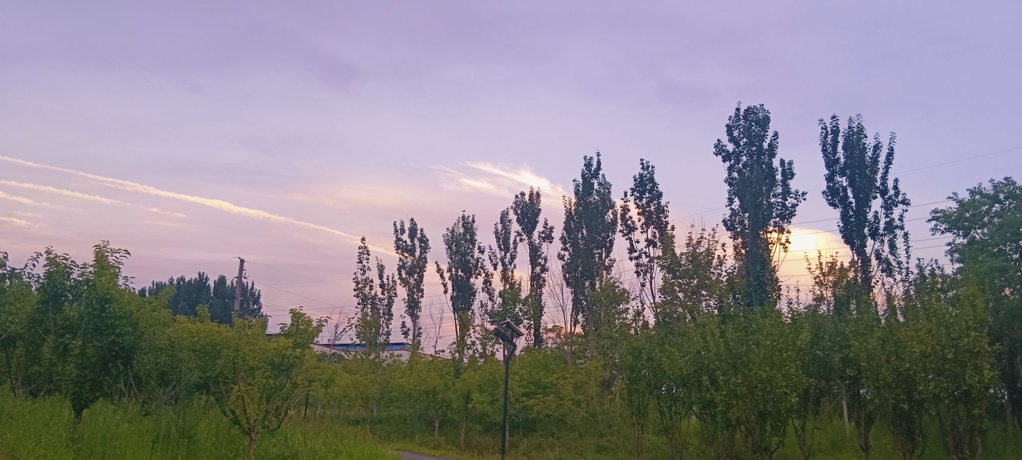 复兴广场旅行图片 3