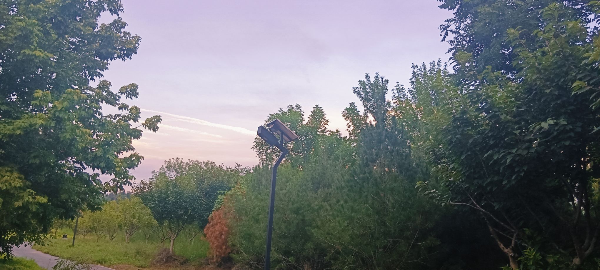 复兴广场旅行图片 2