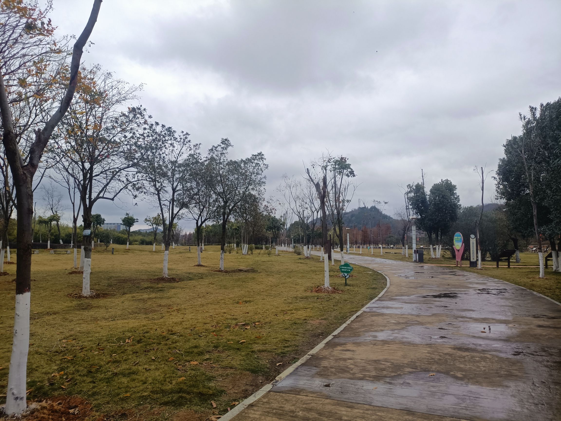 湖南江华涔天河国家湿地公园旅行图片 2