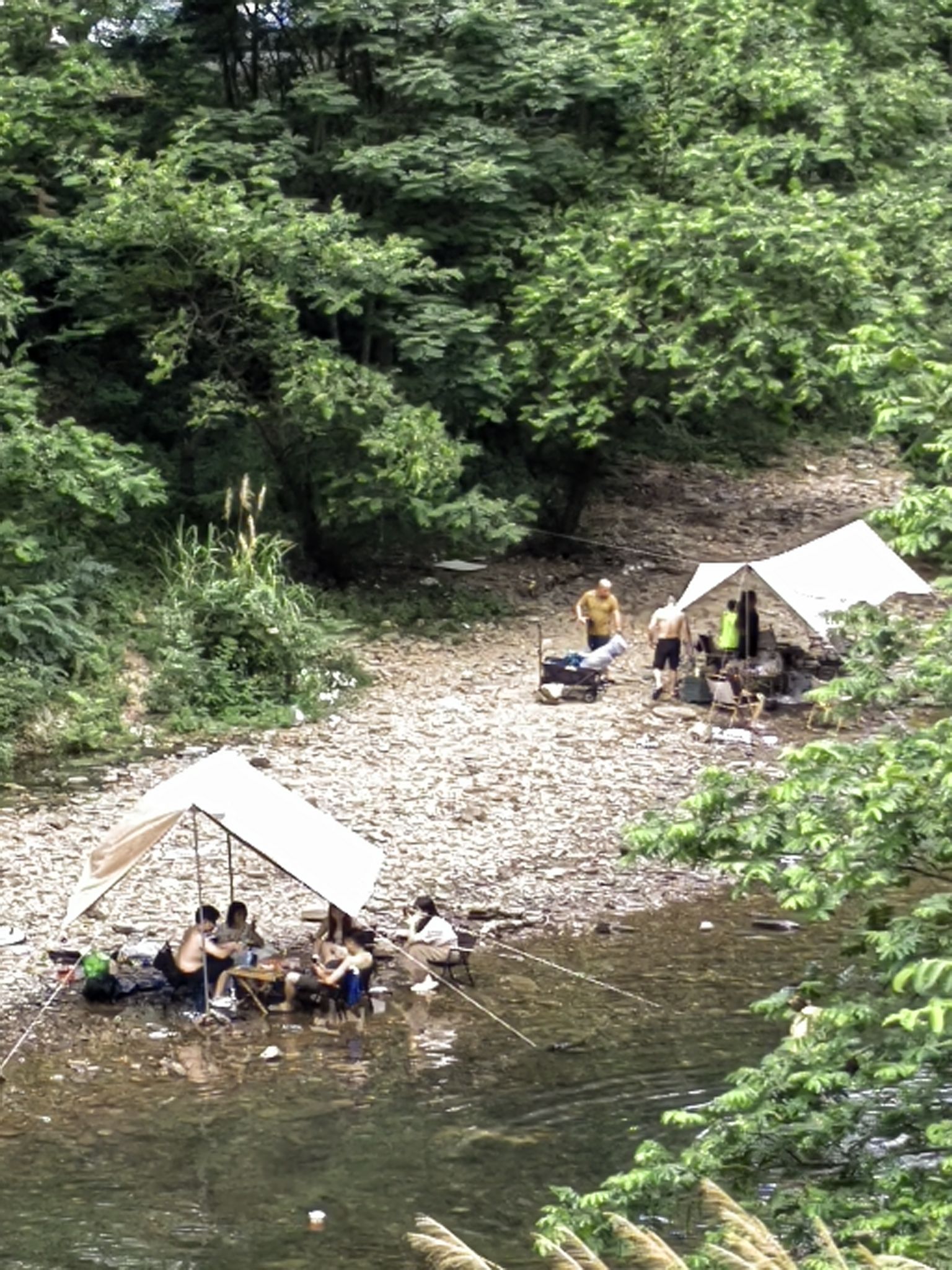 北罗霄国家森林公园旅行图片 2