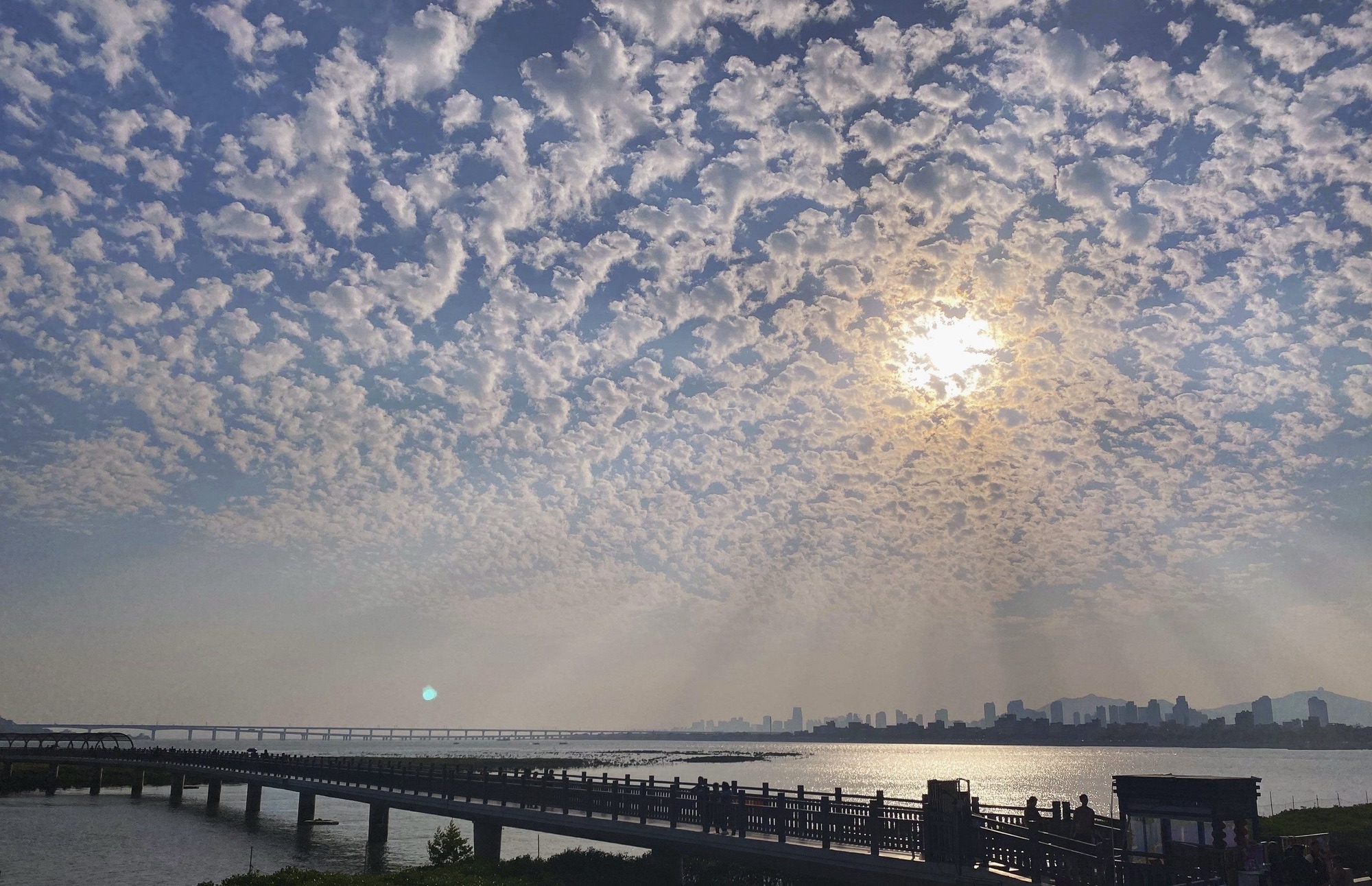 琼江公园旅行图片 1