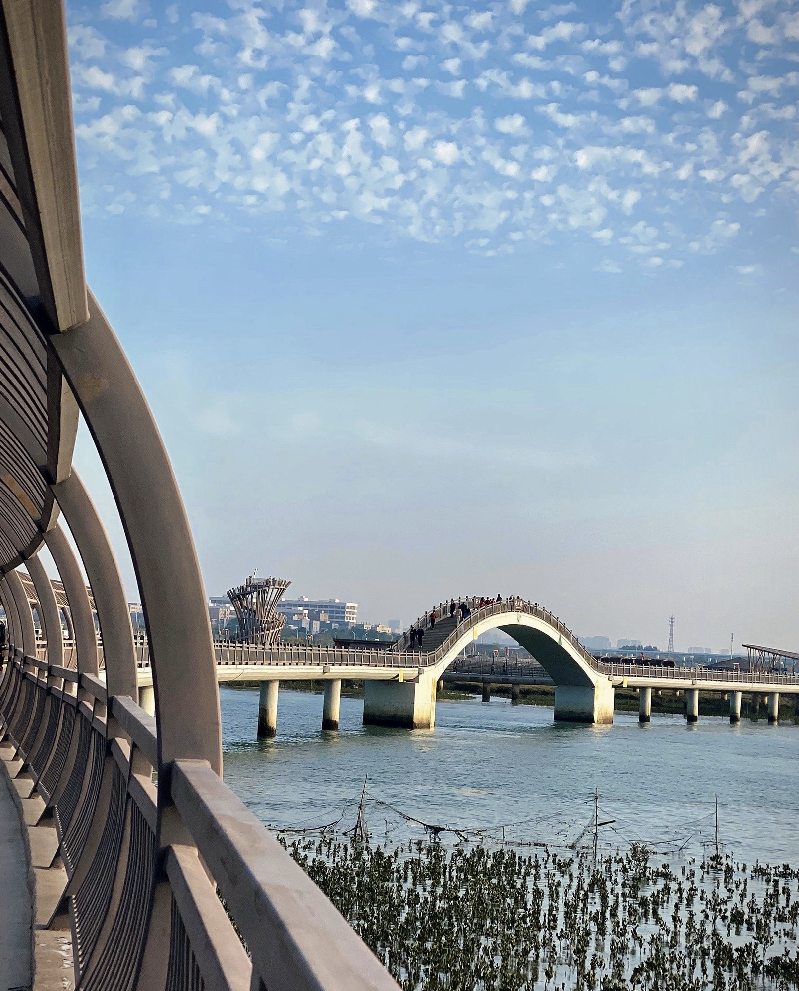 琼江公园旅行图片 2