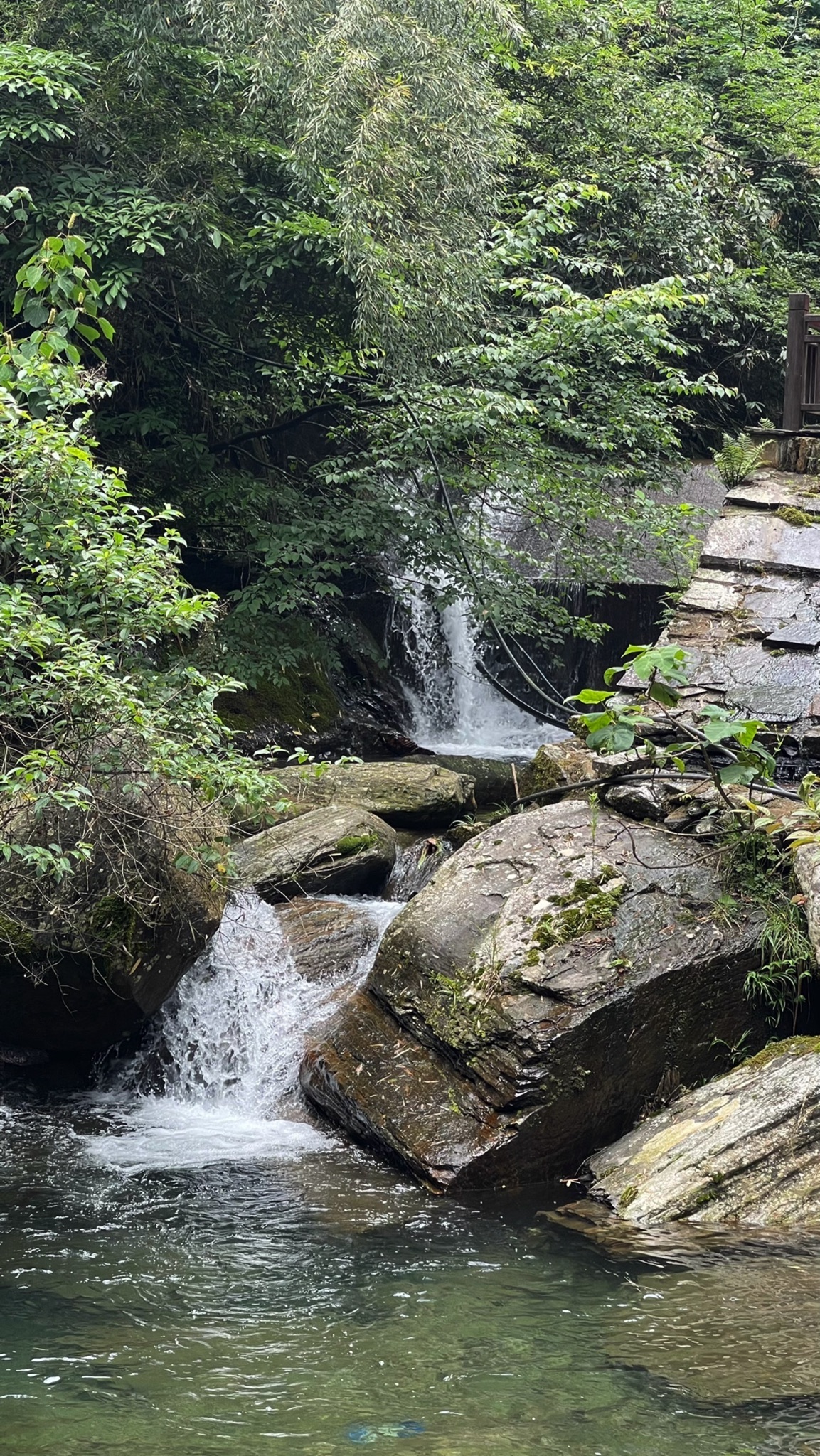 渠江源茶溪谷景区旅行图片