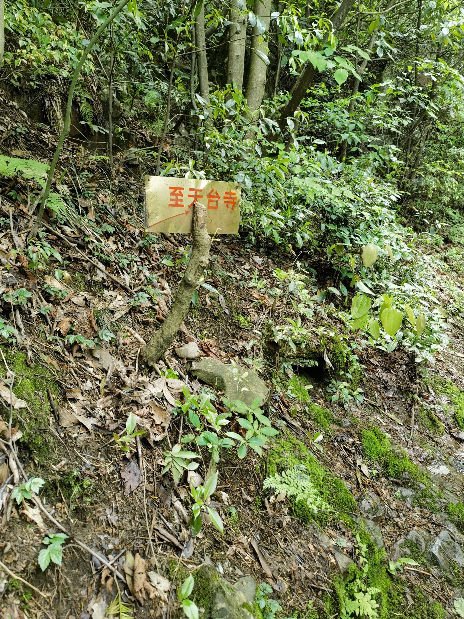柏枧山景区旅行图片 3