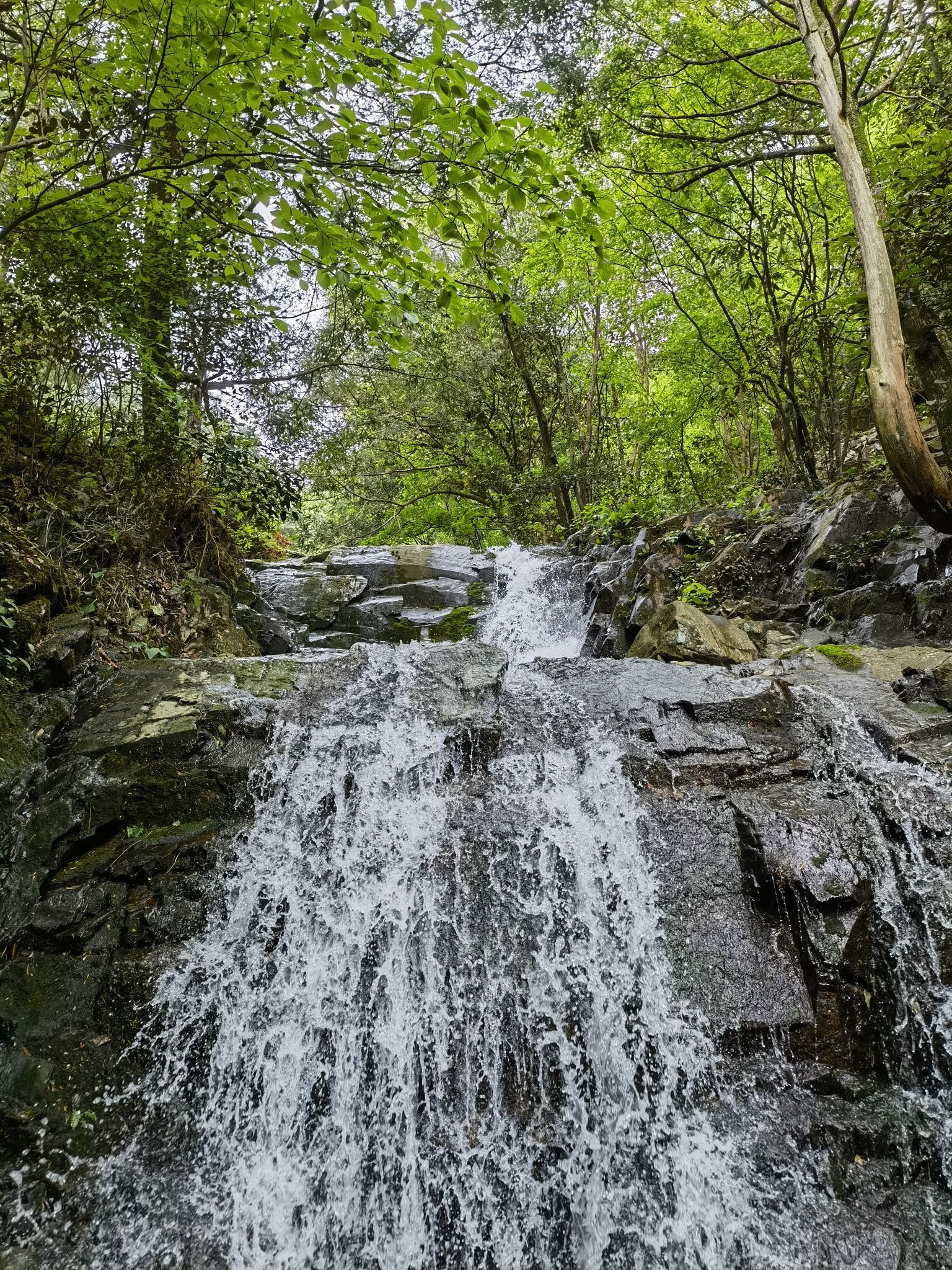柏枧山景区旅行图片 2