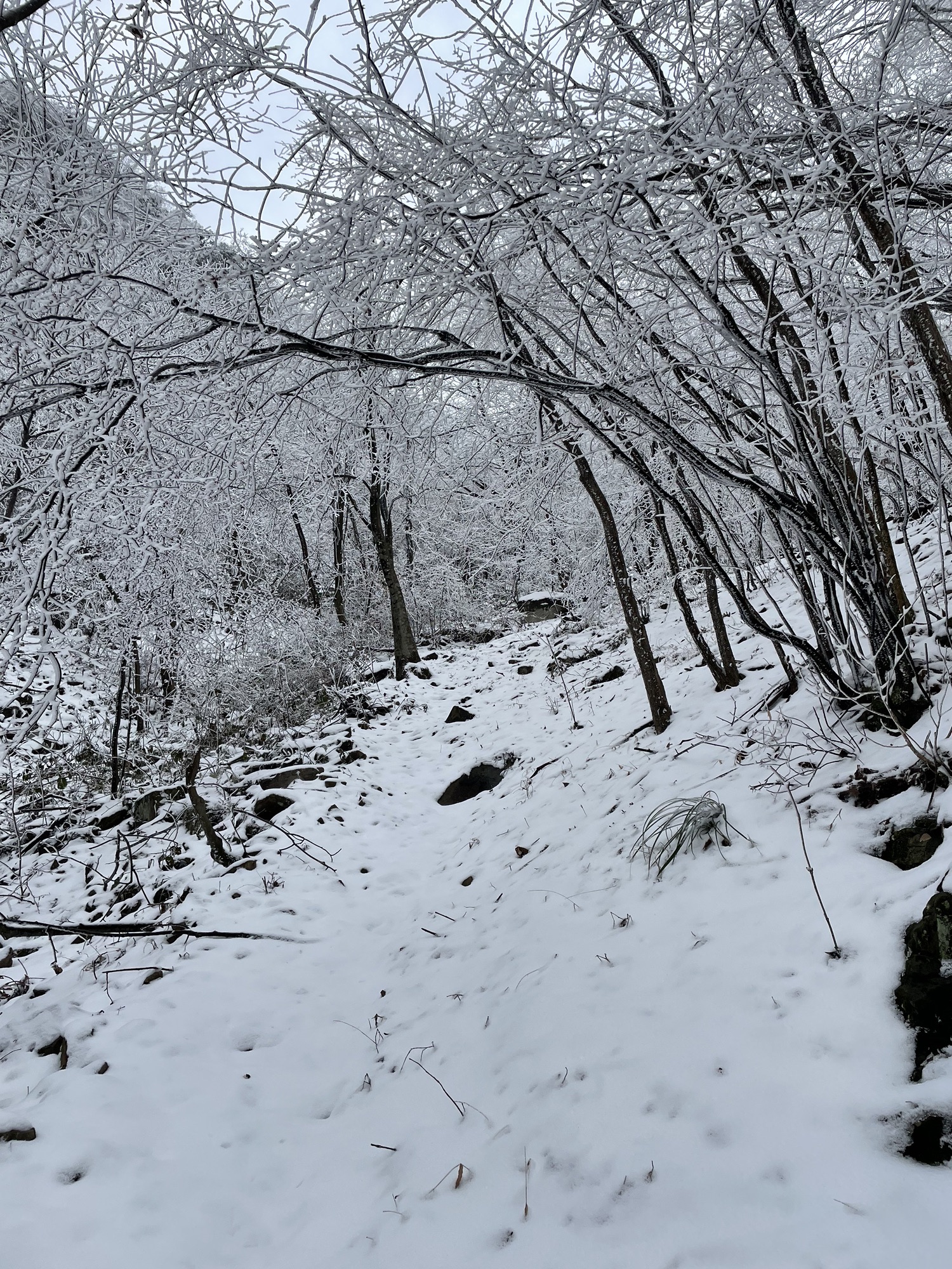 柏枧山景区旅行图片 3