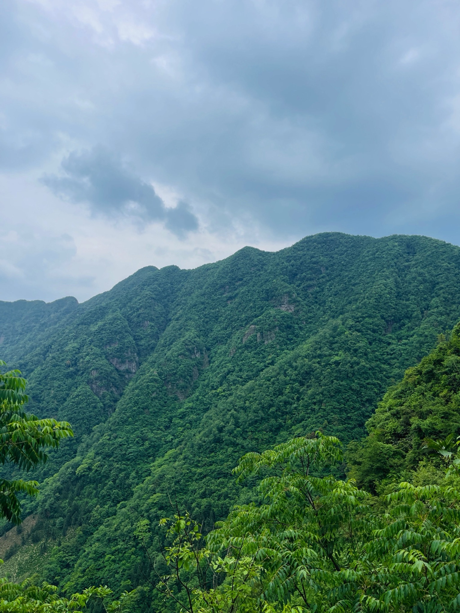 柏枧山景区旅行图片 3