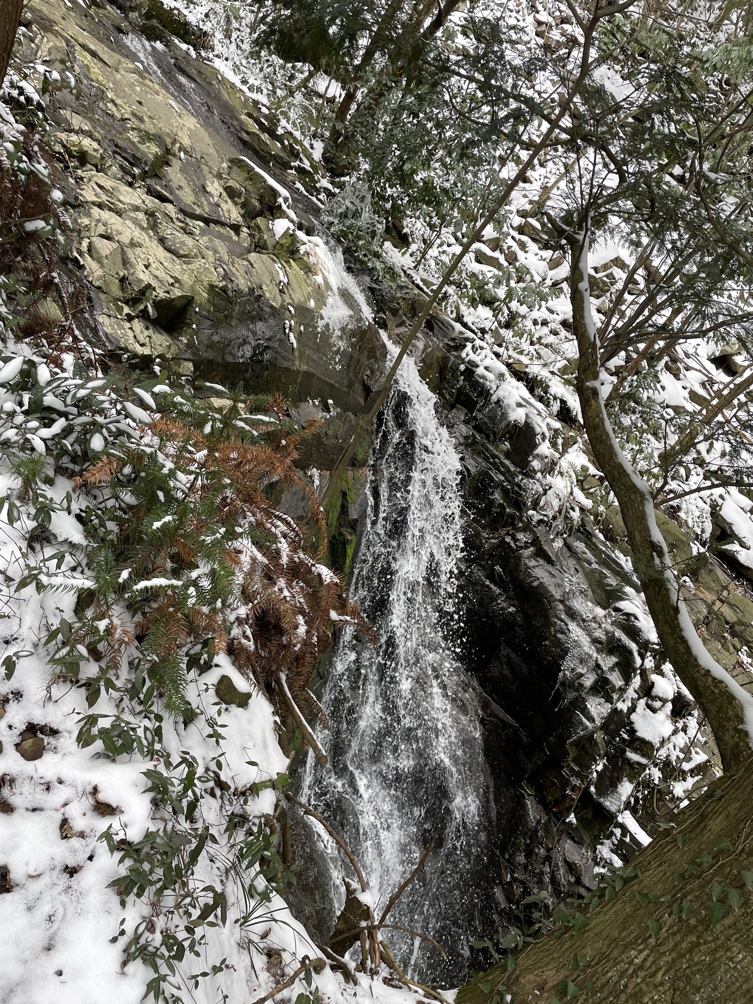 柏枧山景区旅行图片 1