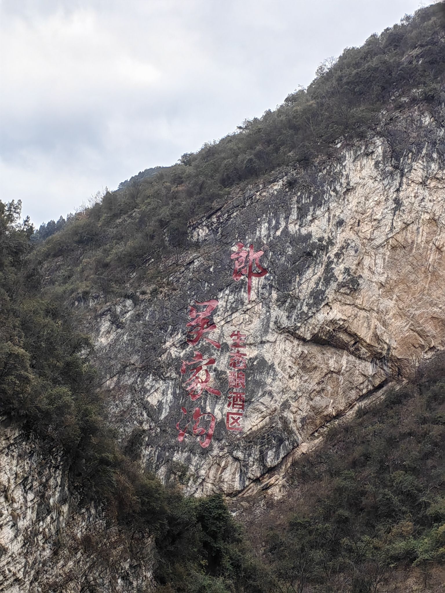 美酒河巨幅摩崖石刻旅行图片 3