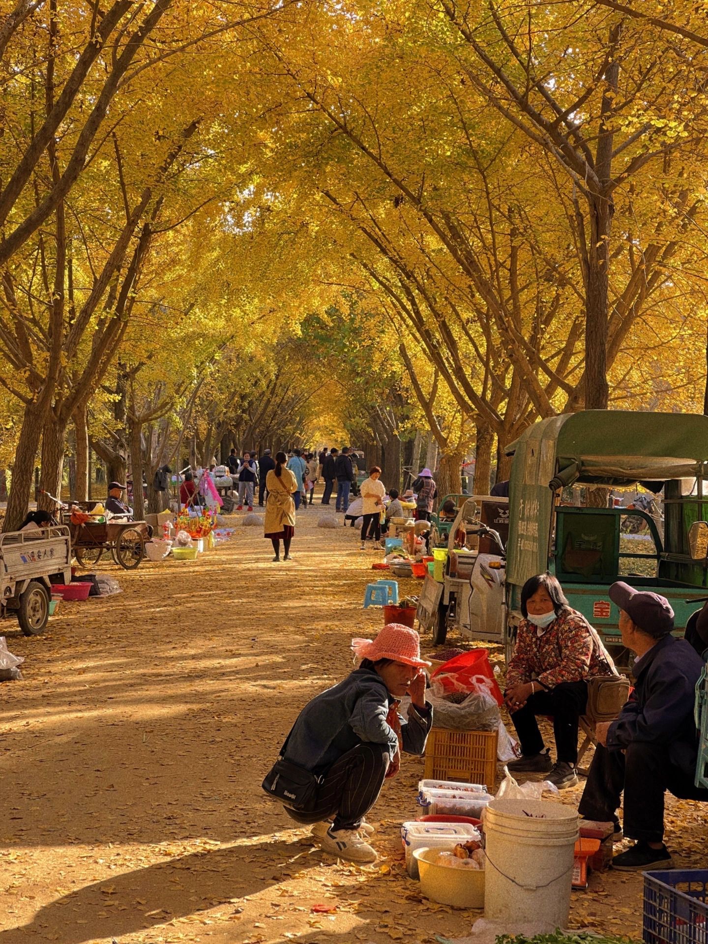 邳州银杏湖风景区旅行图片 2