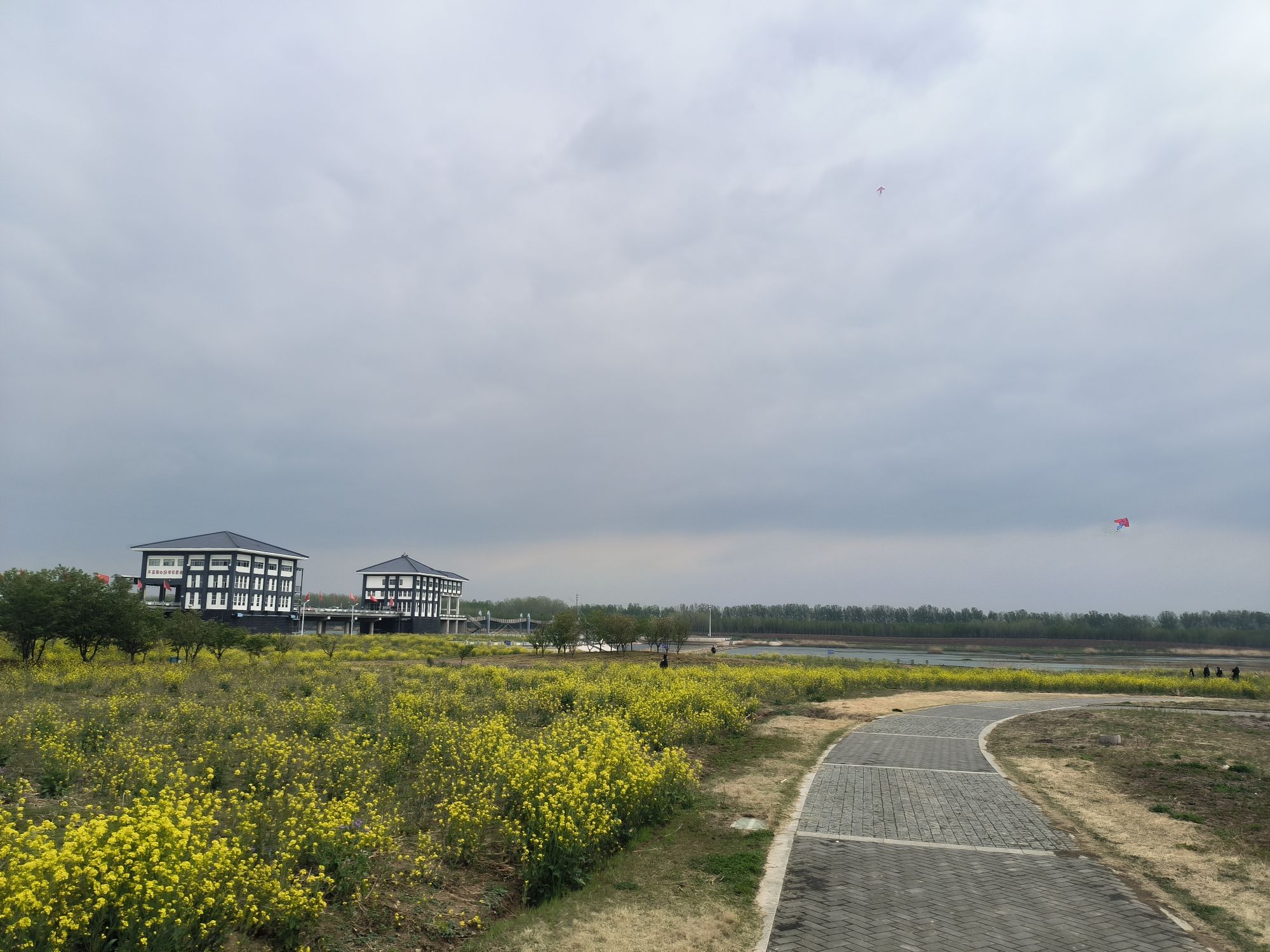 邳州银杏湖风景区旅行图片 3