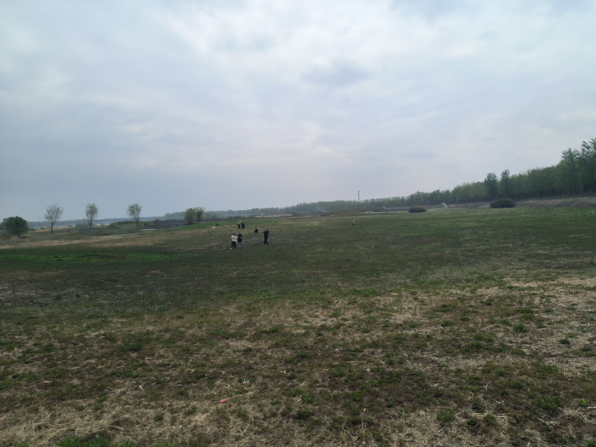 邳州银杏湖风景区旅行图片 1