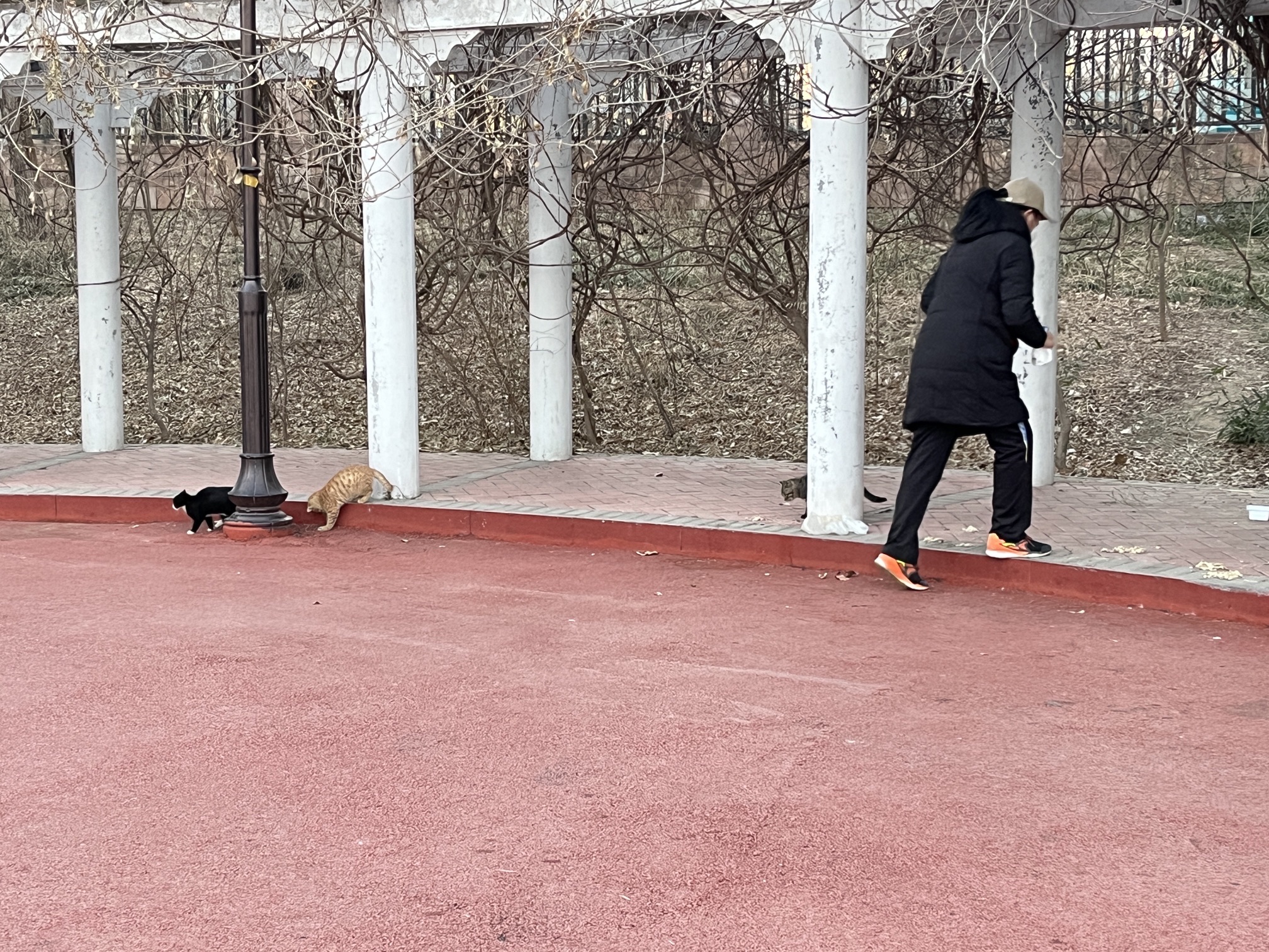 怡水公园旅行图片 2
