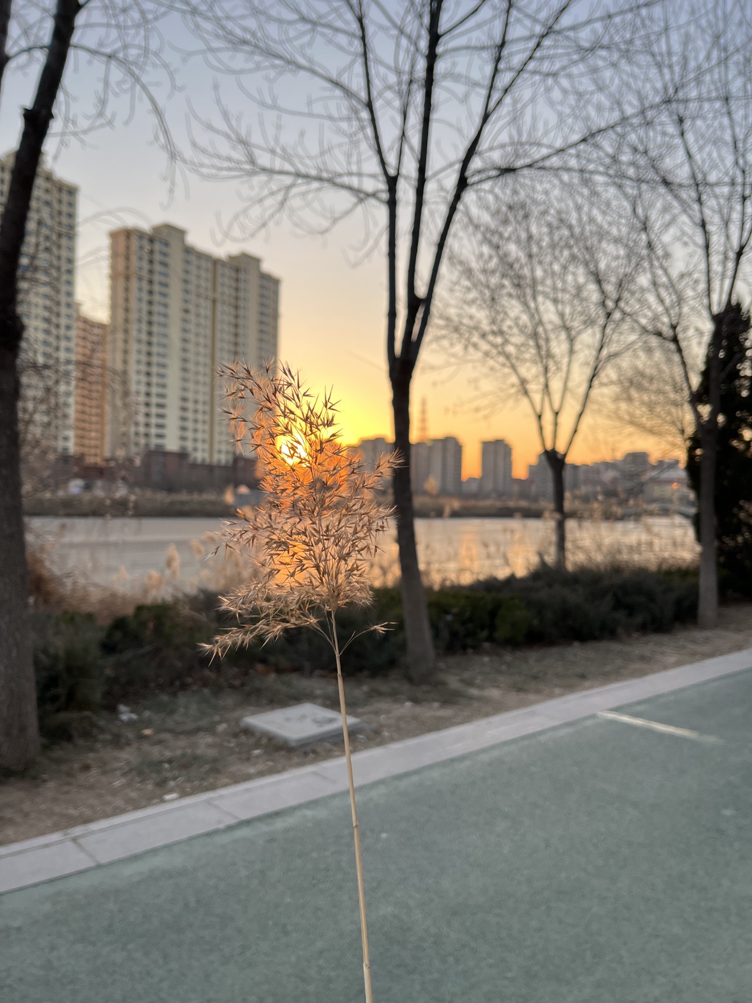 怡水公园旅行图片 1