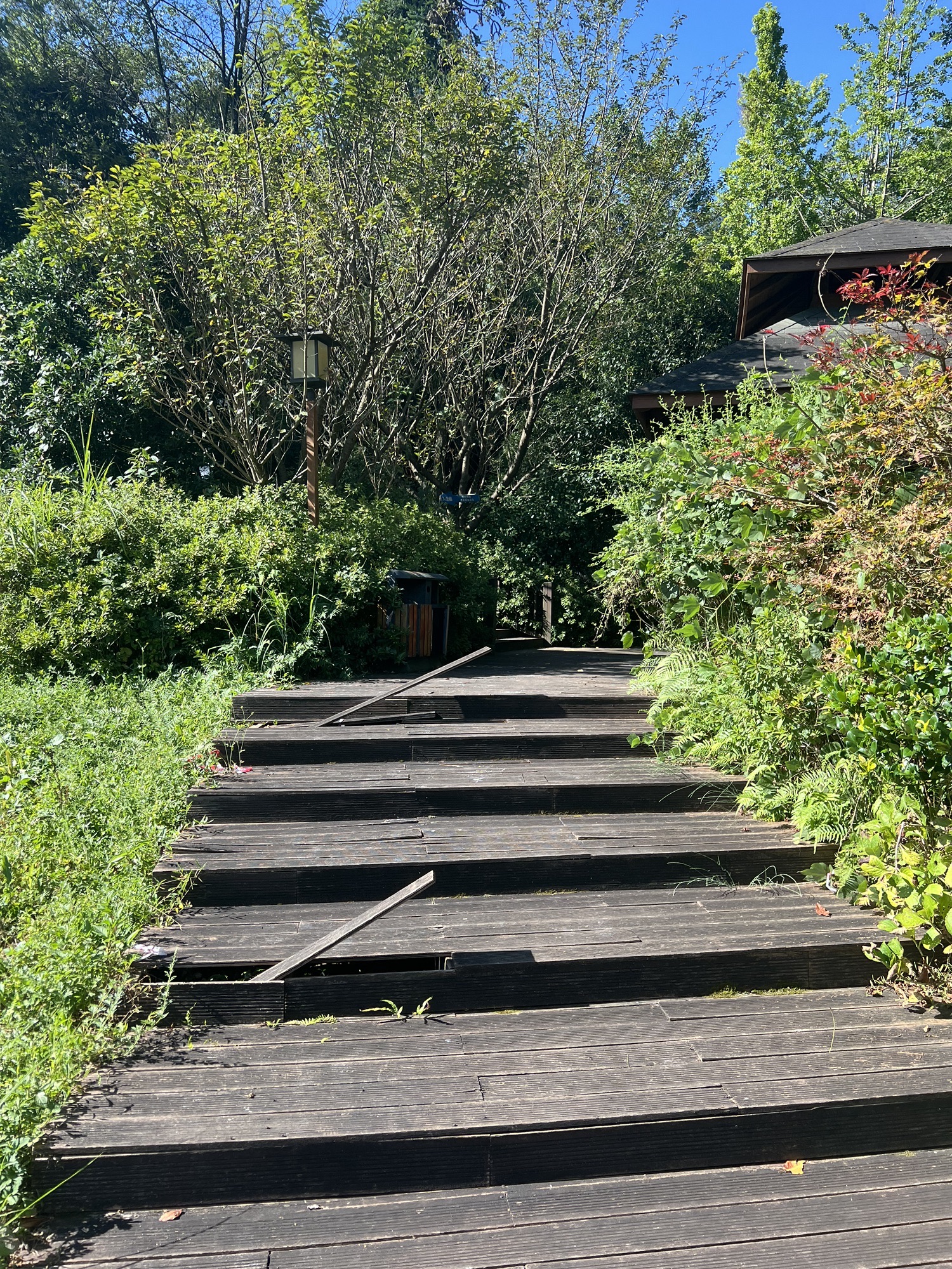 百花湖森林公园旅行图片 1