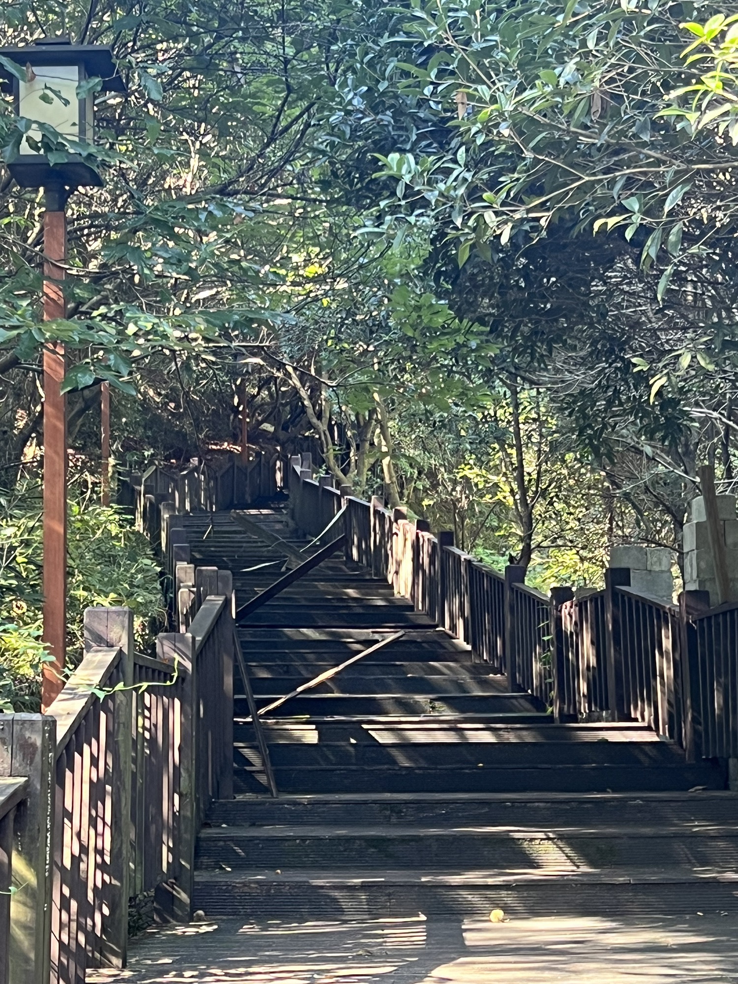 百花湖森林公园旅行图片 3