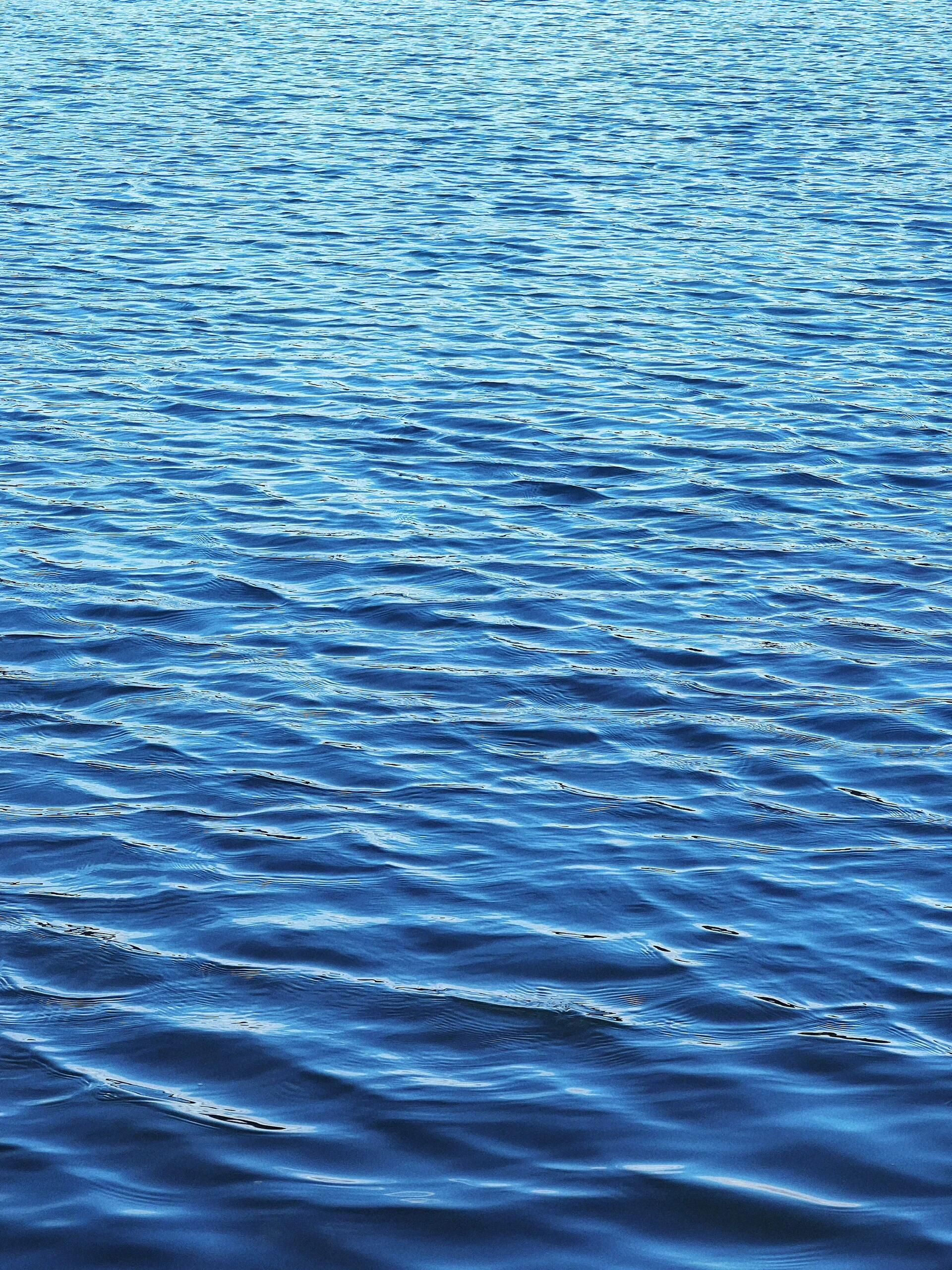 百花湖森林公园旅行图片 1