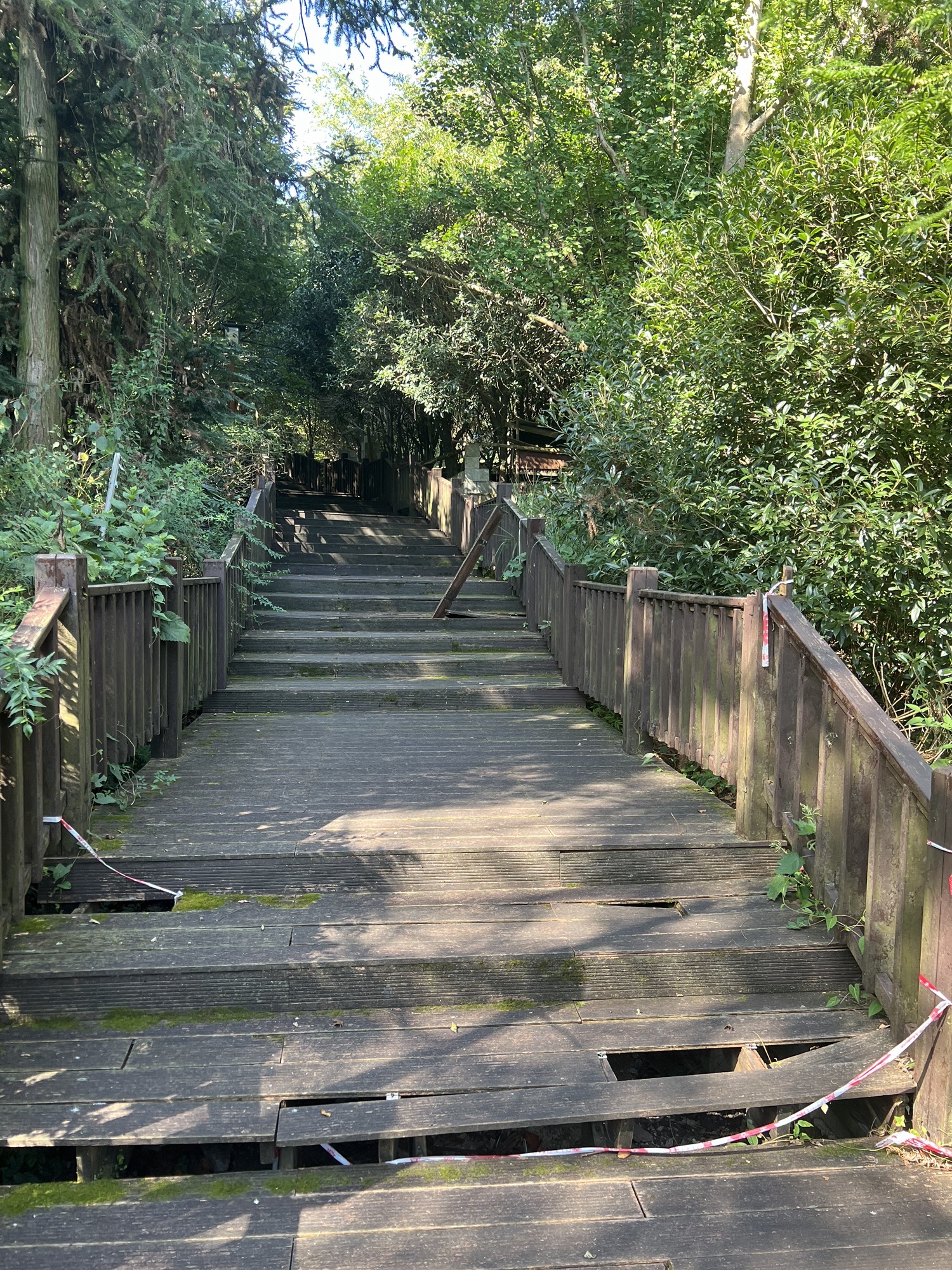 百花湖森林公园旅行图片 2