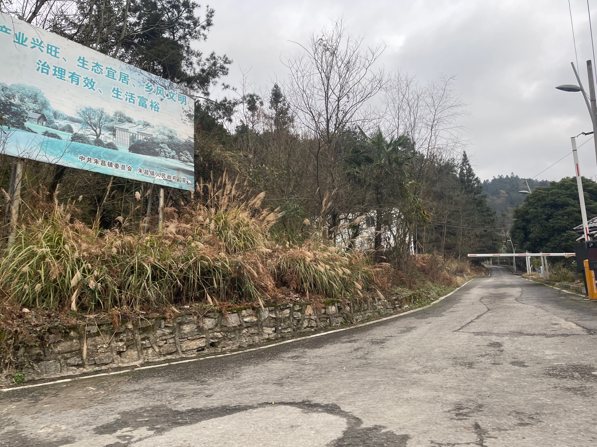 百花湖森林公园旅行图片 3