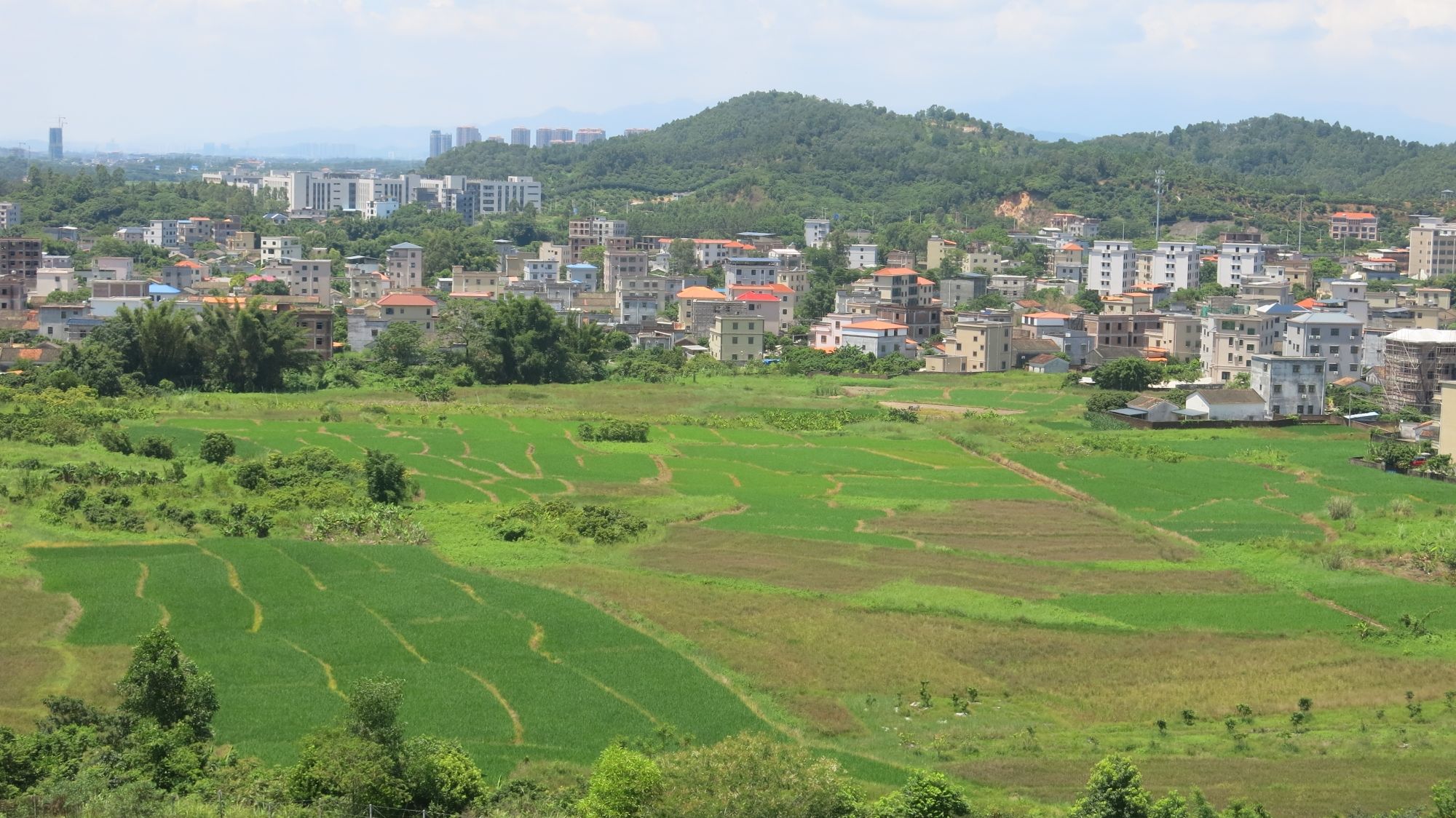 潭头森林公园旅行图片 2