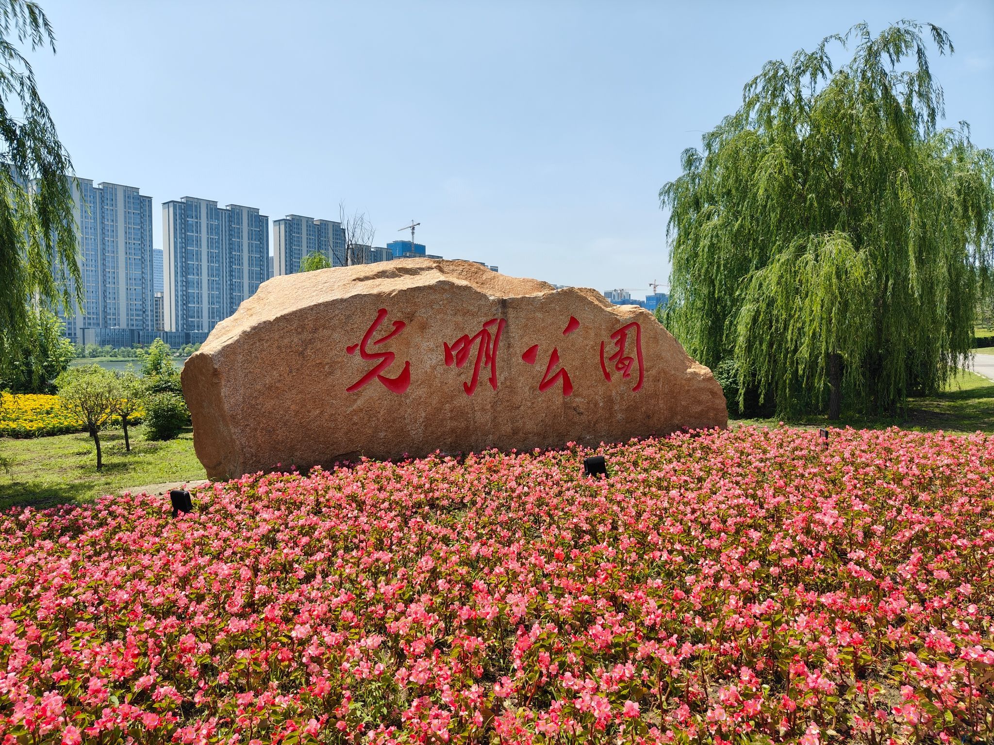 光明公园旅行图片 1