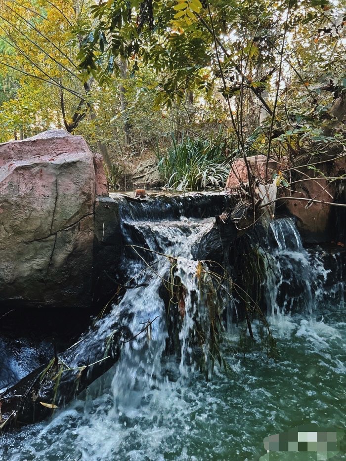 圣泉湖景区旅行图片
