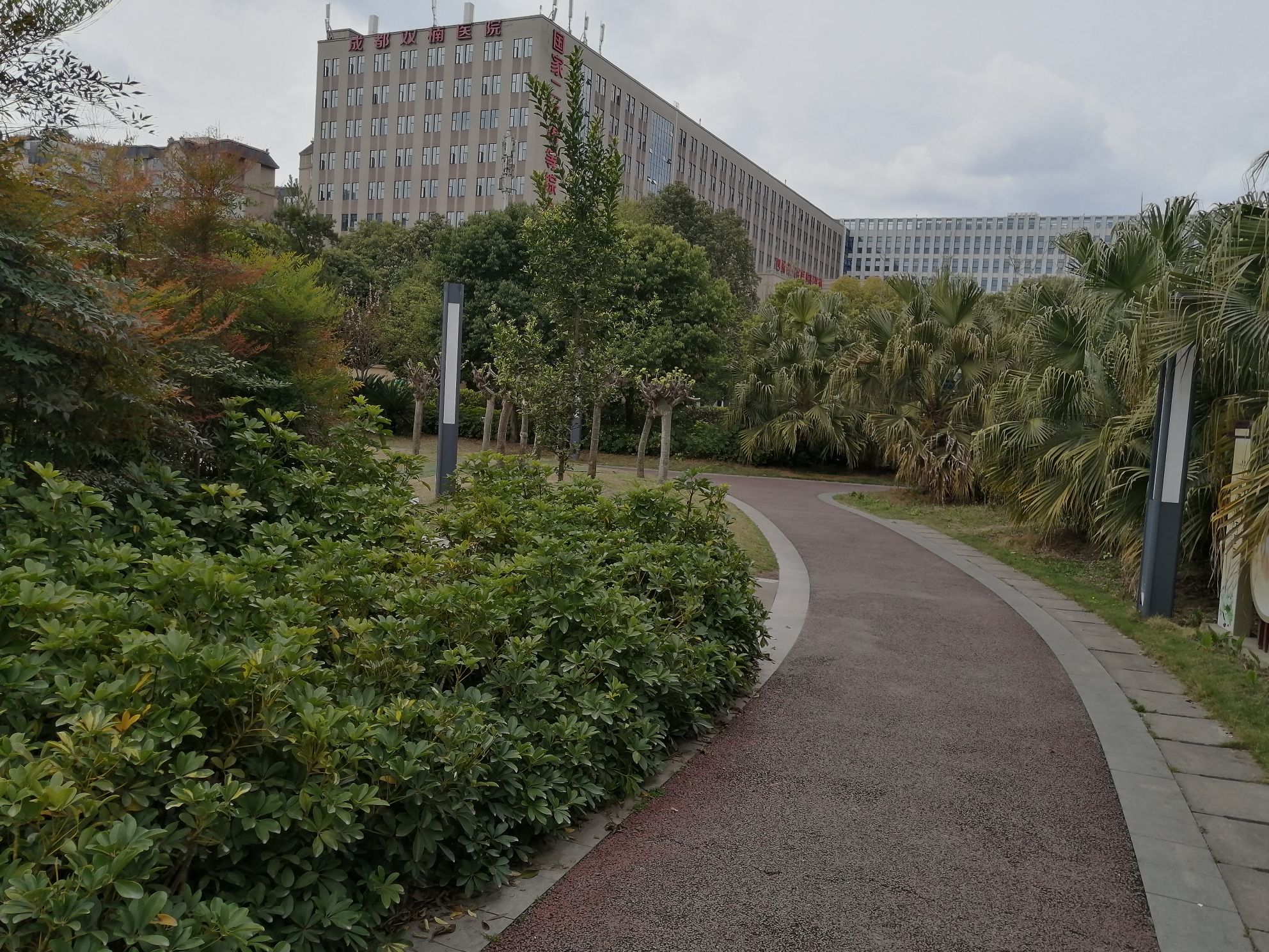 红牌楼市政公园旅行图片 3