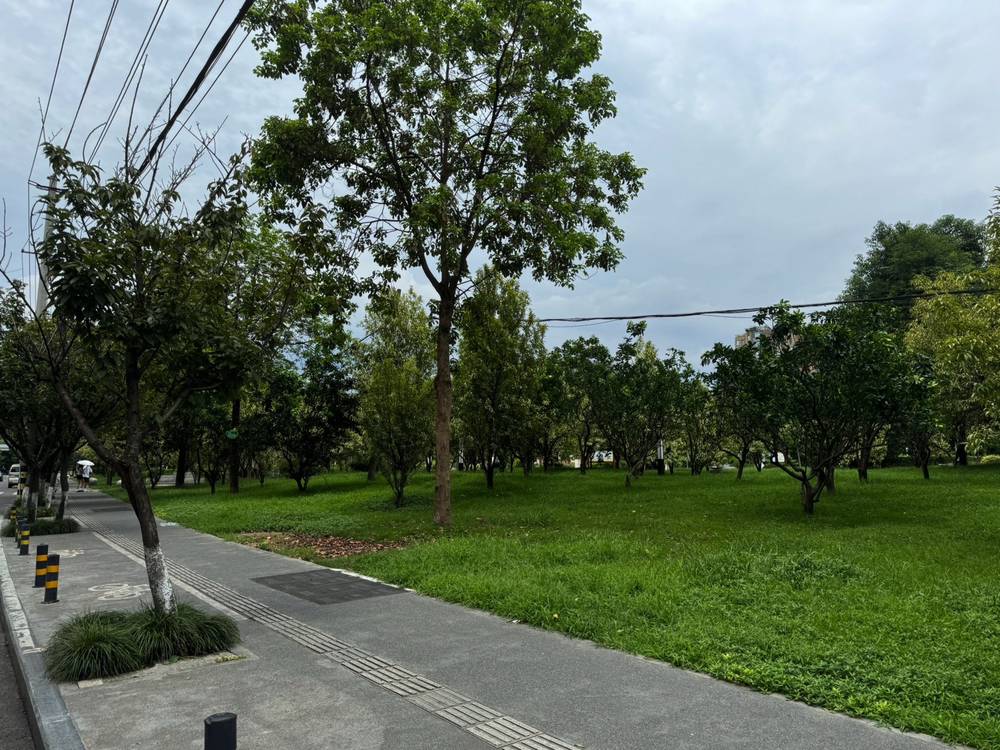 红牌楼市政公园旅行图片 1