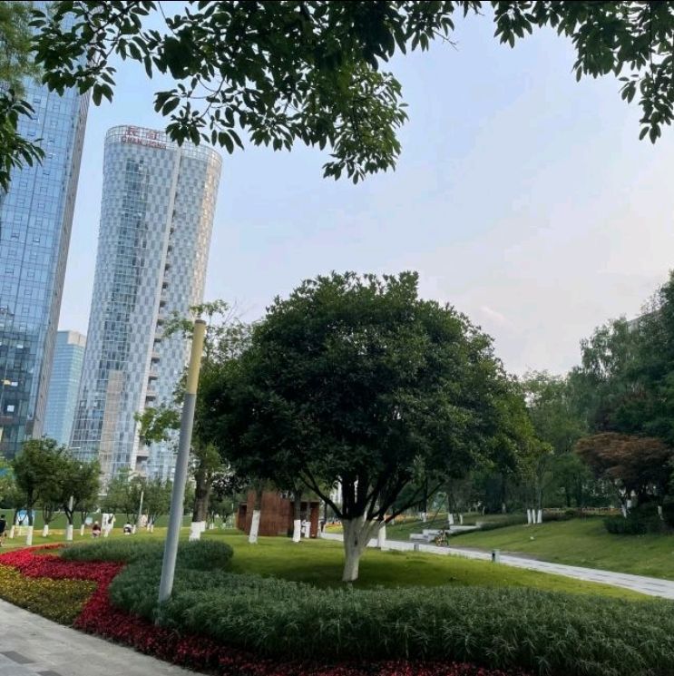 红牌楼市政公园旅行图片 3