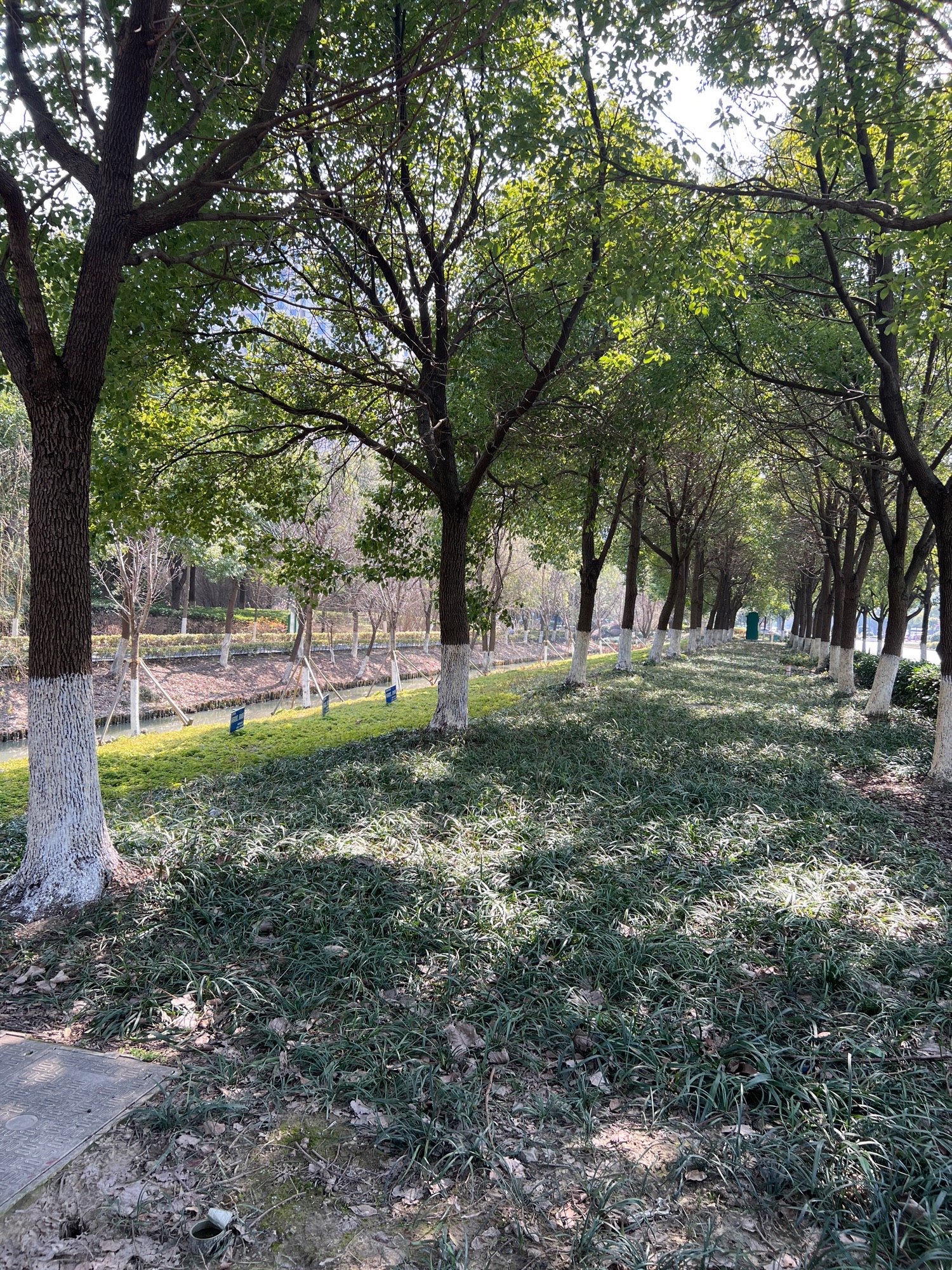 嘉兴可持续发展公园旅行图片 3
