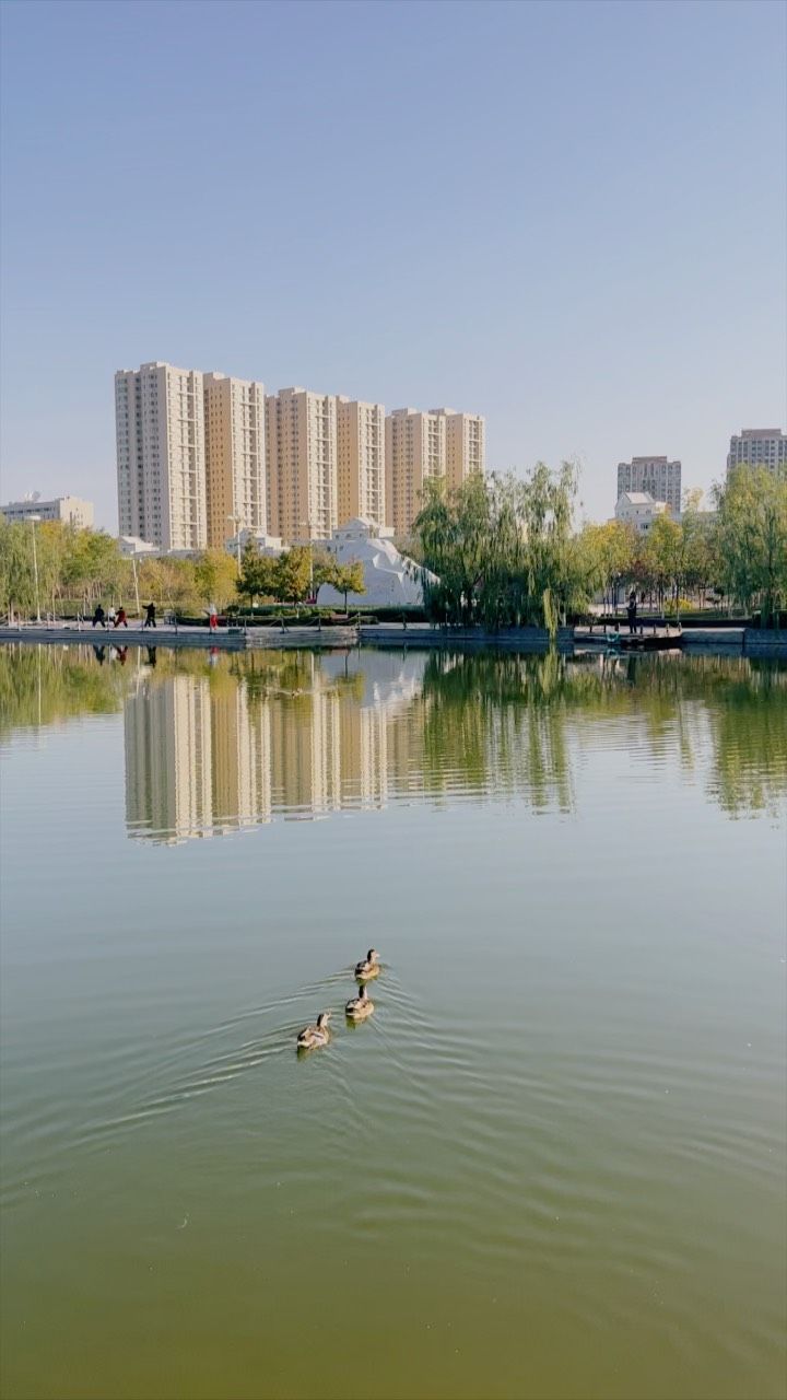 天山公园