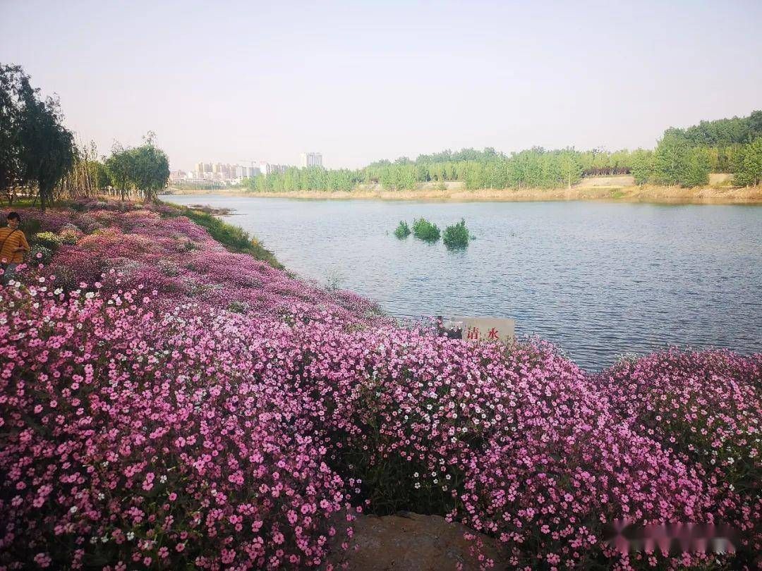 襄城县北汝河国家湿地公园旅行图片 3