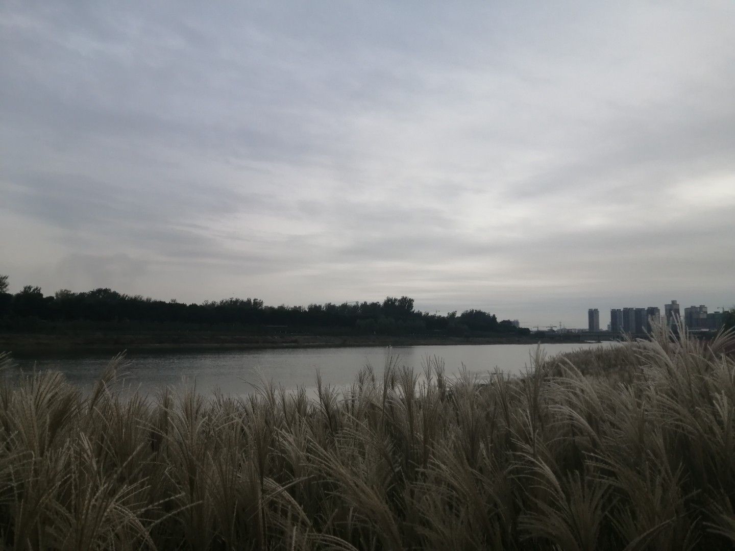襄城县北汝河国家湿地公园旅行图片 3
