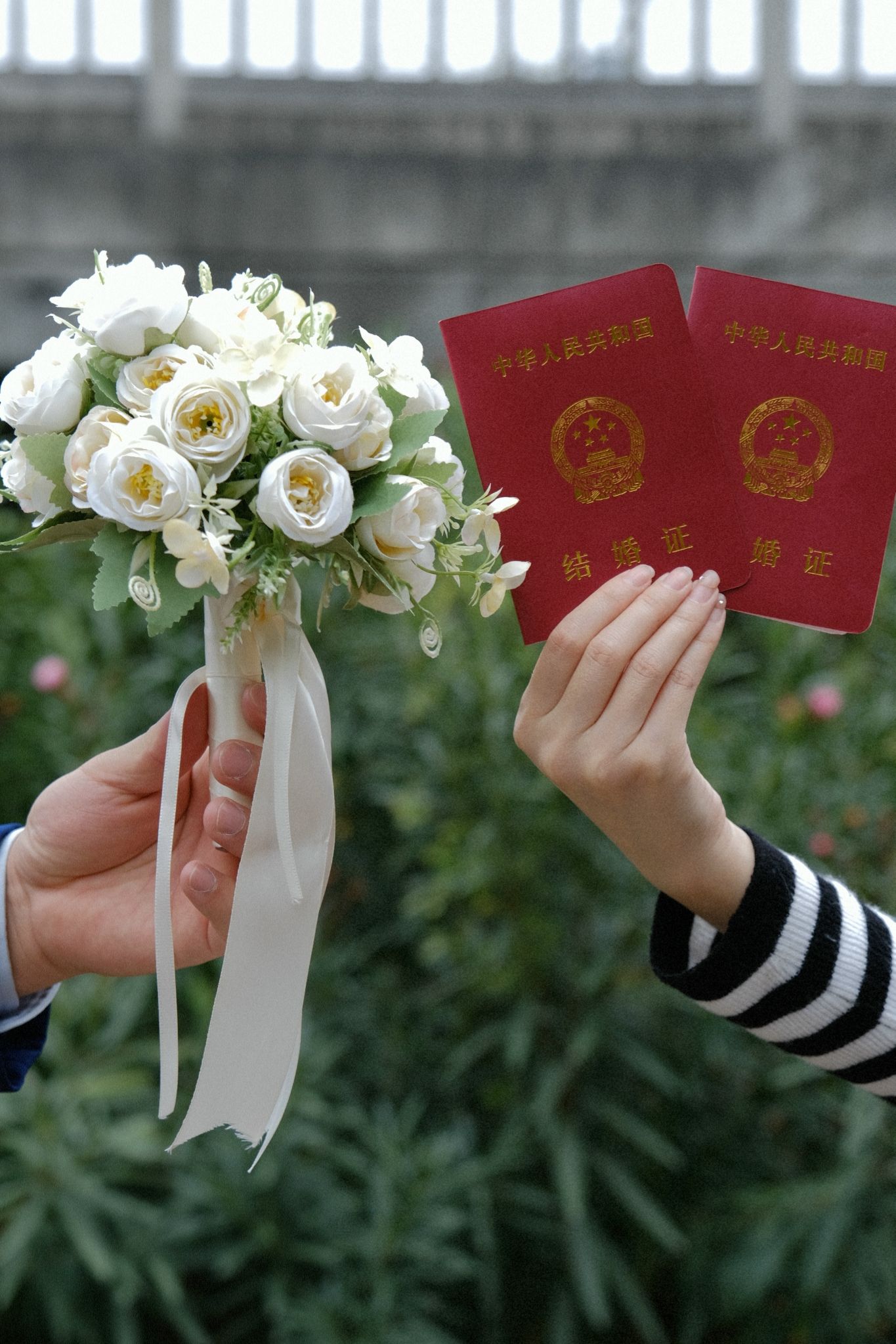 淝河生态公园旅行图片 1
