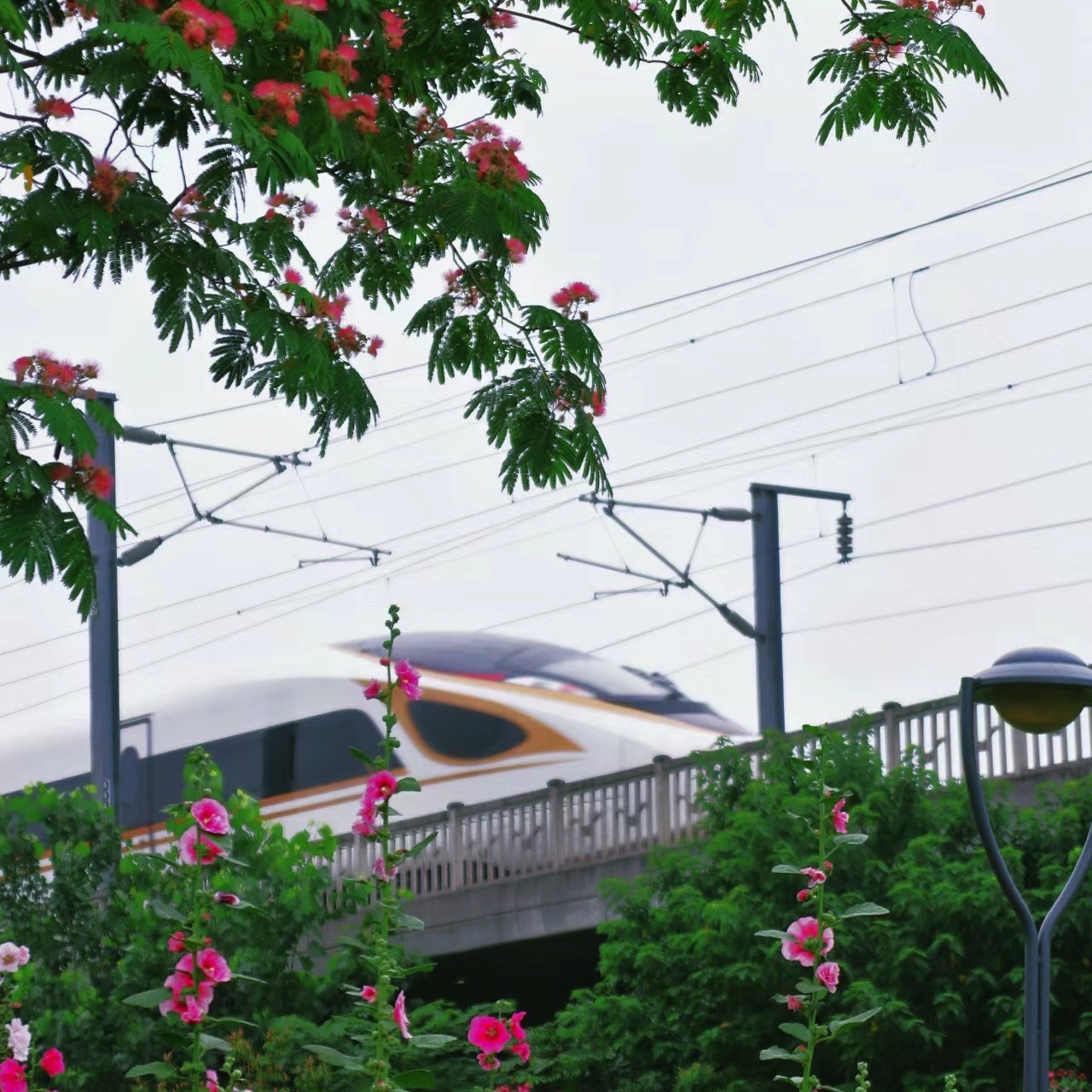 淝河生态公园旅行图片 2