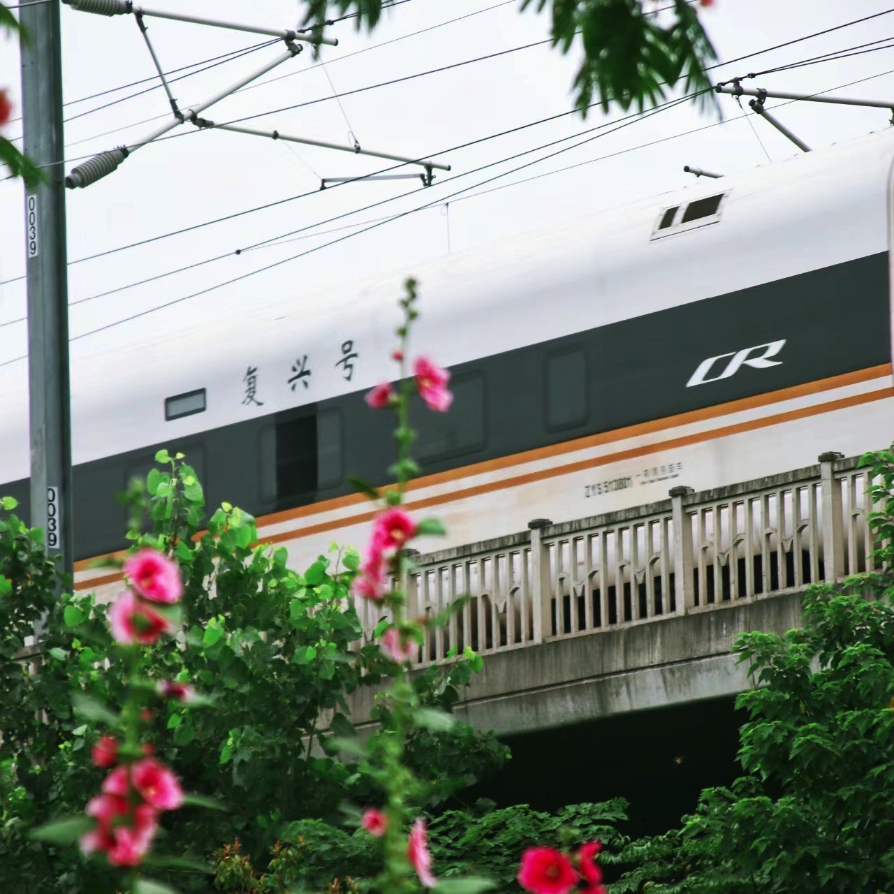 淝河生态公园旅行图片 1