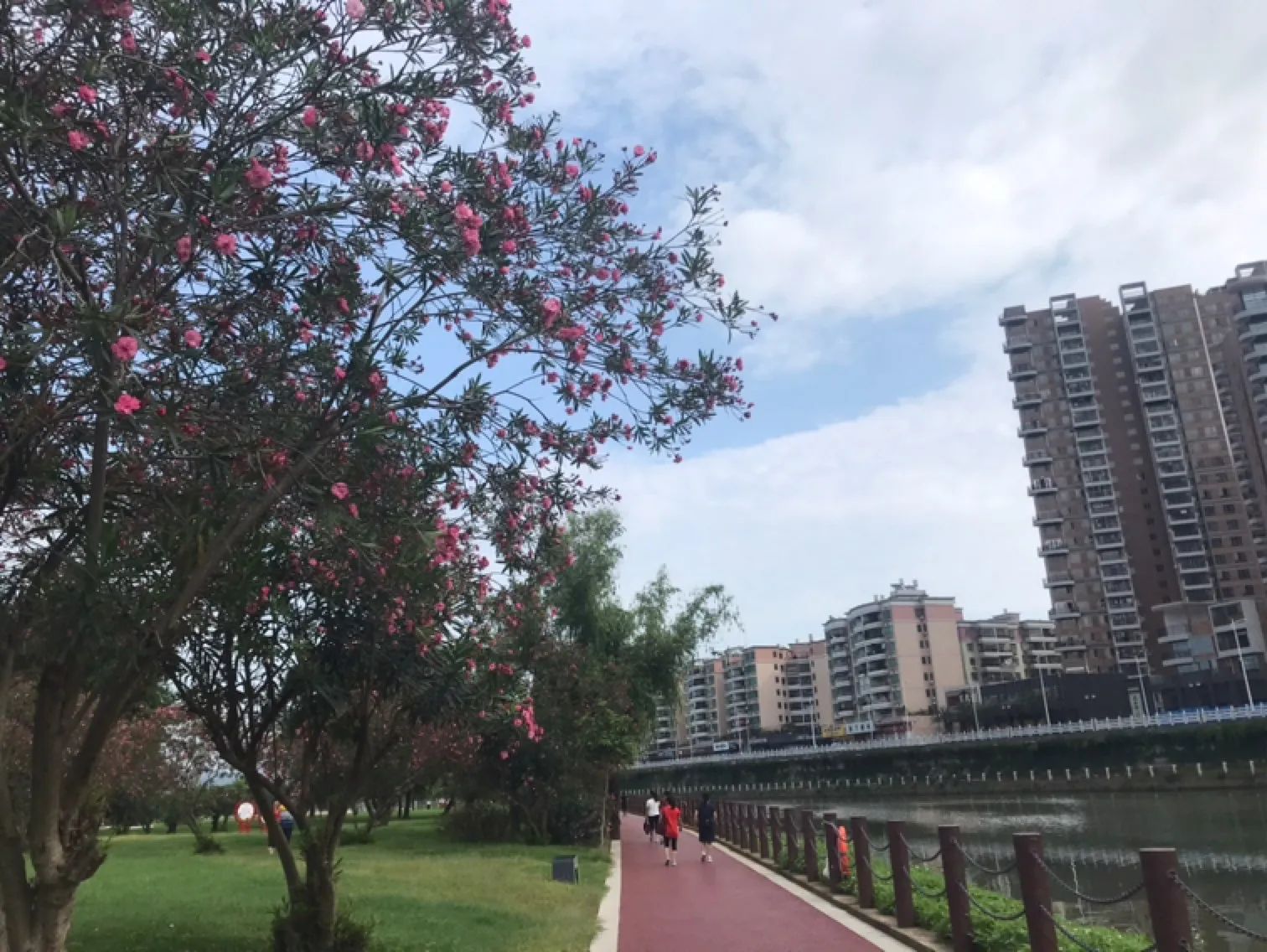 大云洲公园旅行图片 3