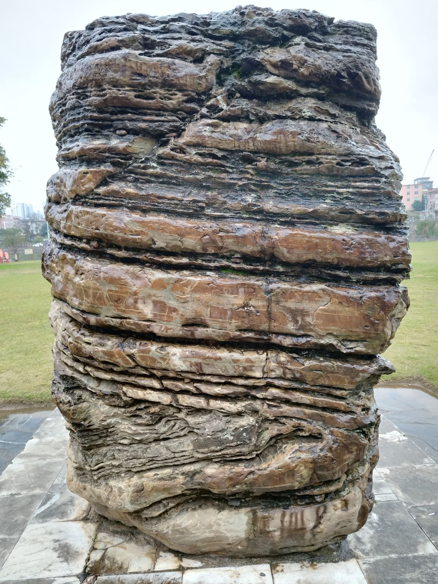 大云洲公园旅行图片 2