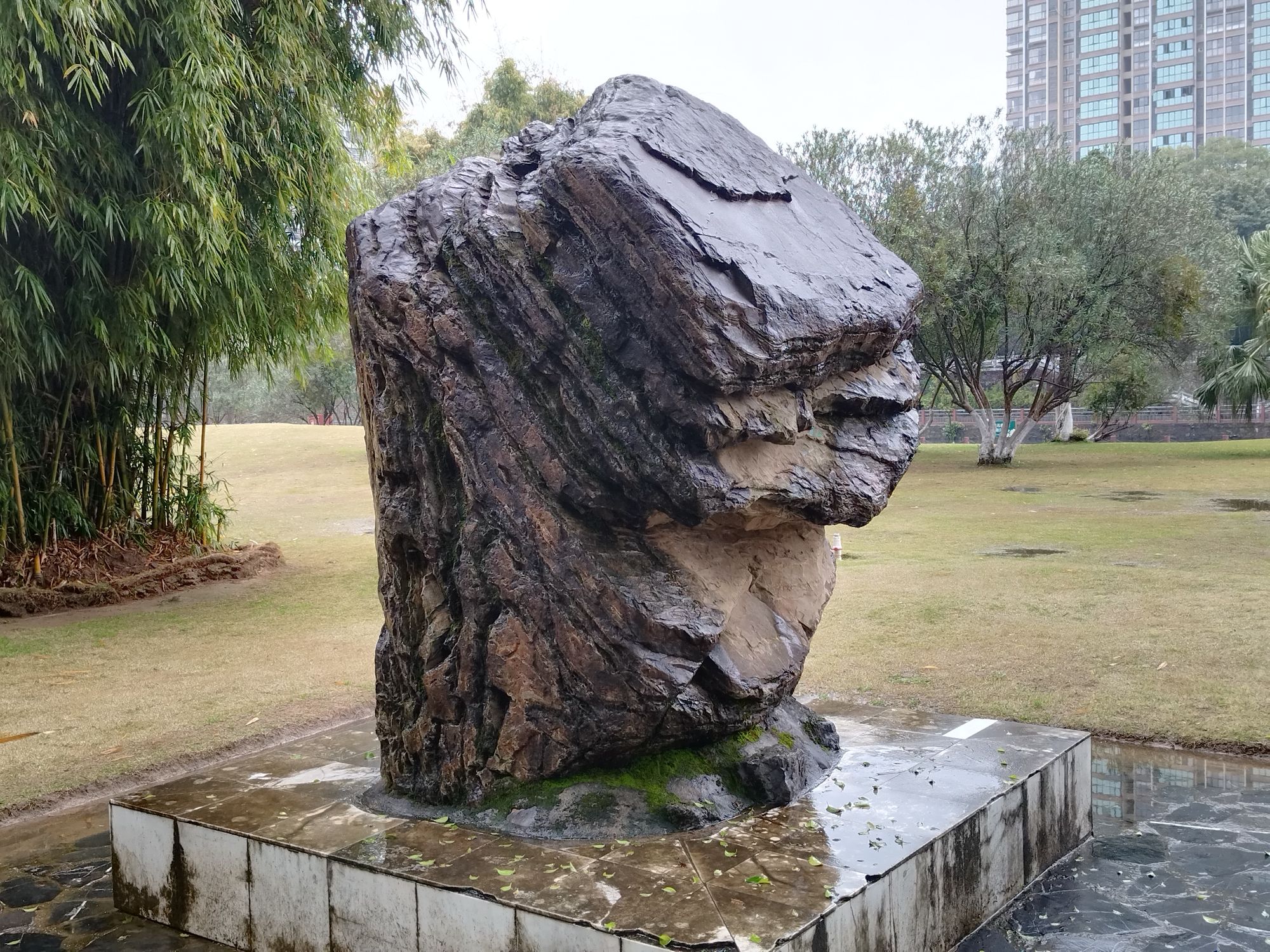 大云洲公园旅行图片 3