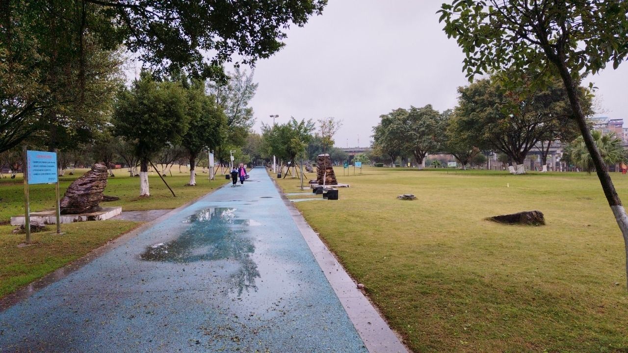 大云洲公园旅行图片 1