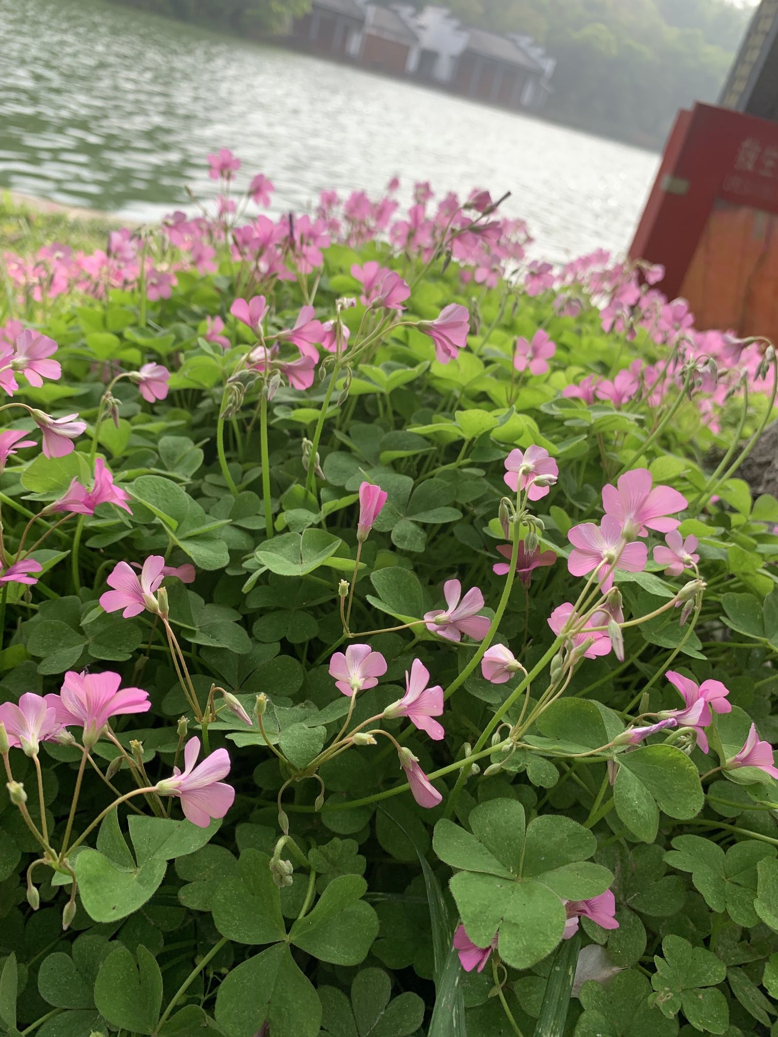 环城公园旅行图片 2