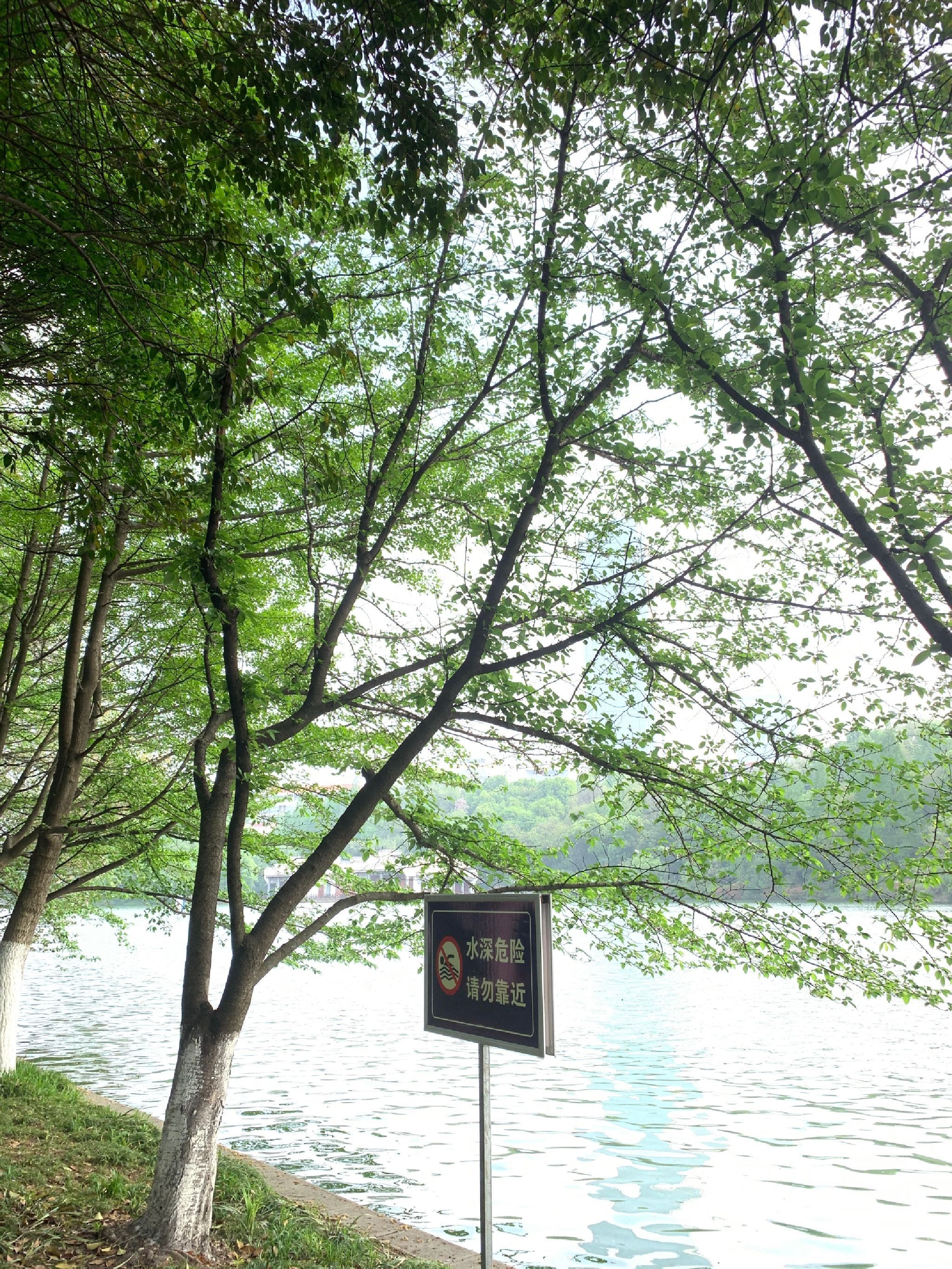 环城公园旅行图片 1