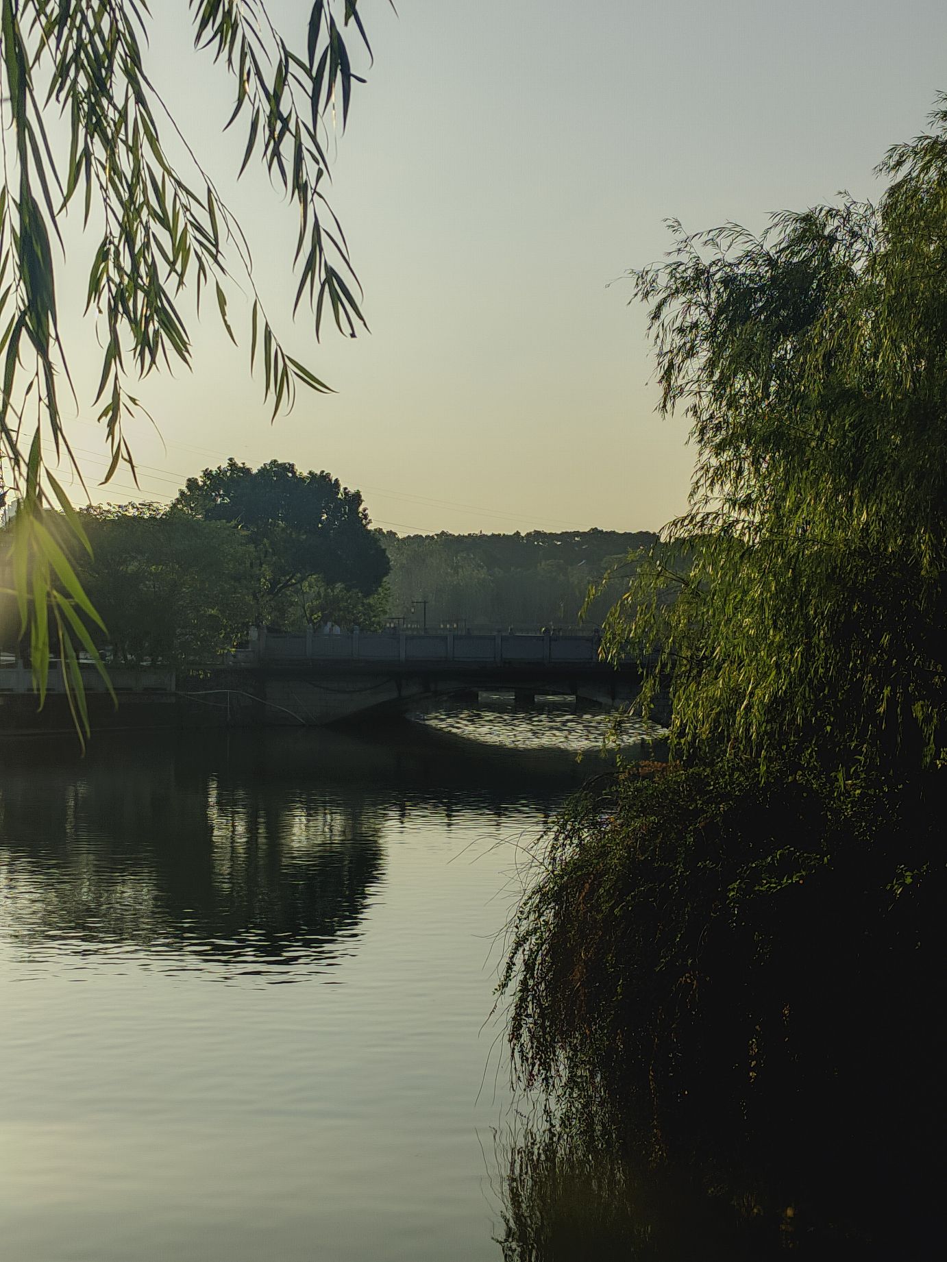花博园(暂停开放)旅行图片 2